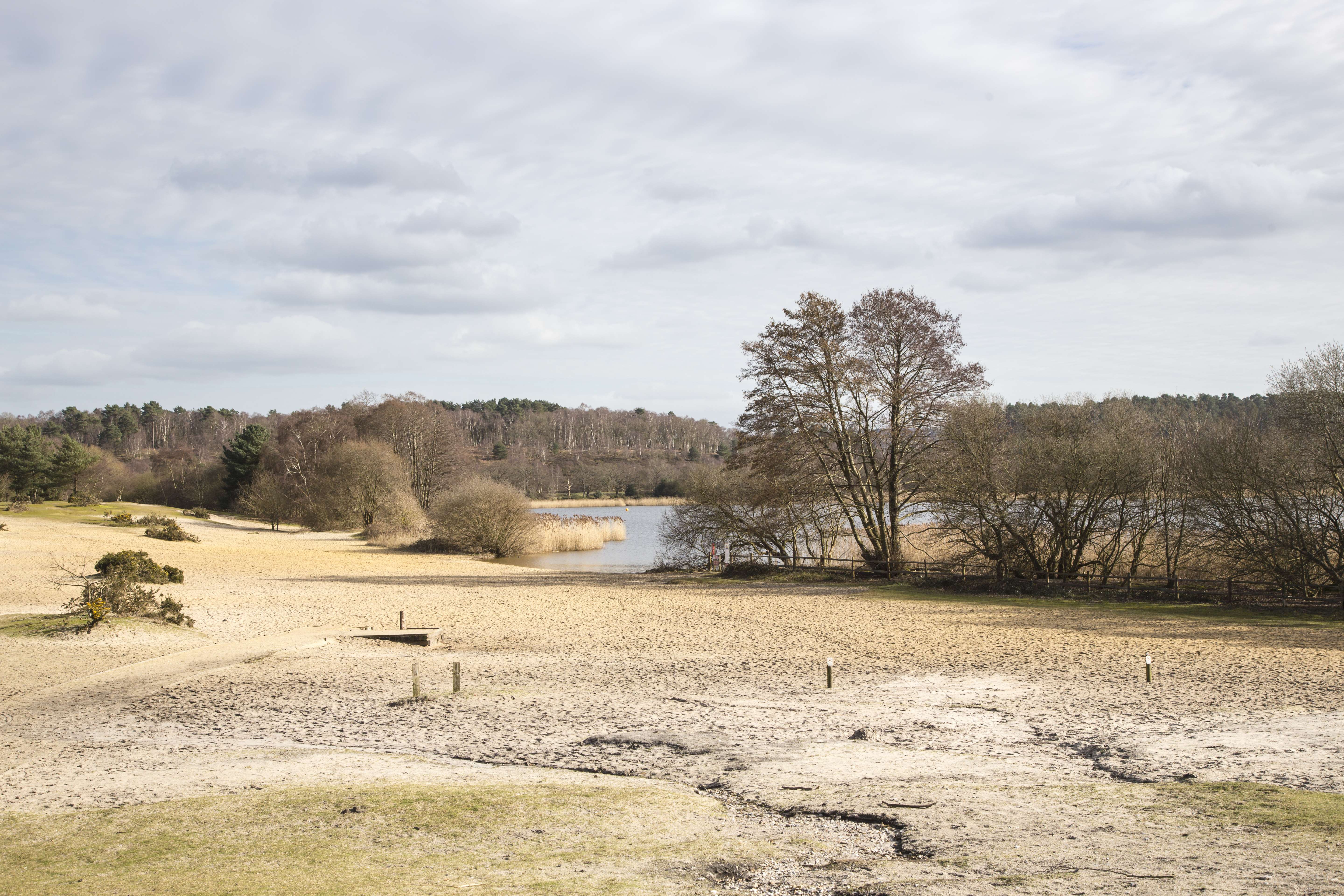 Frensham Beach