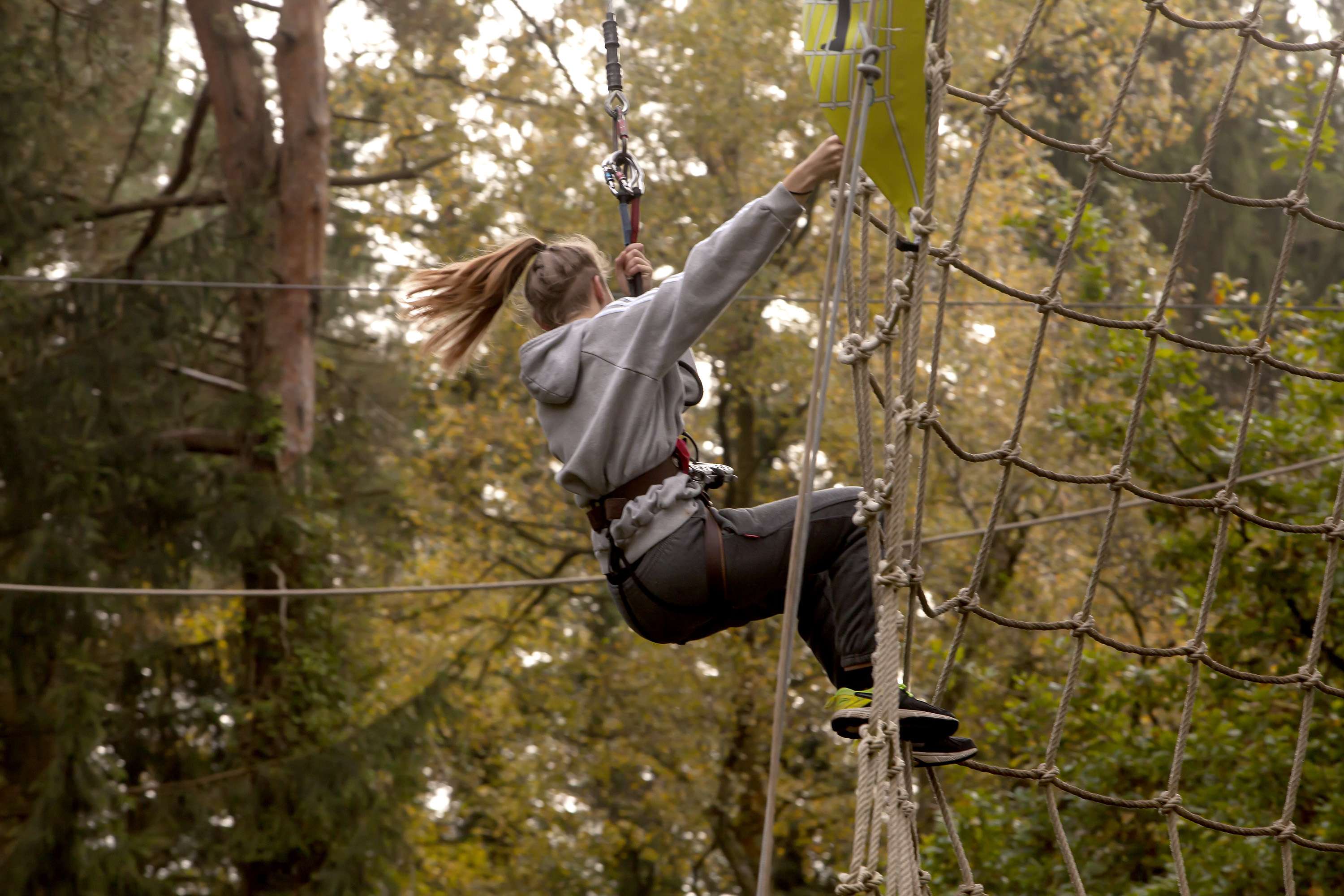Climb The Trees At Go Ape