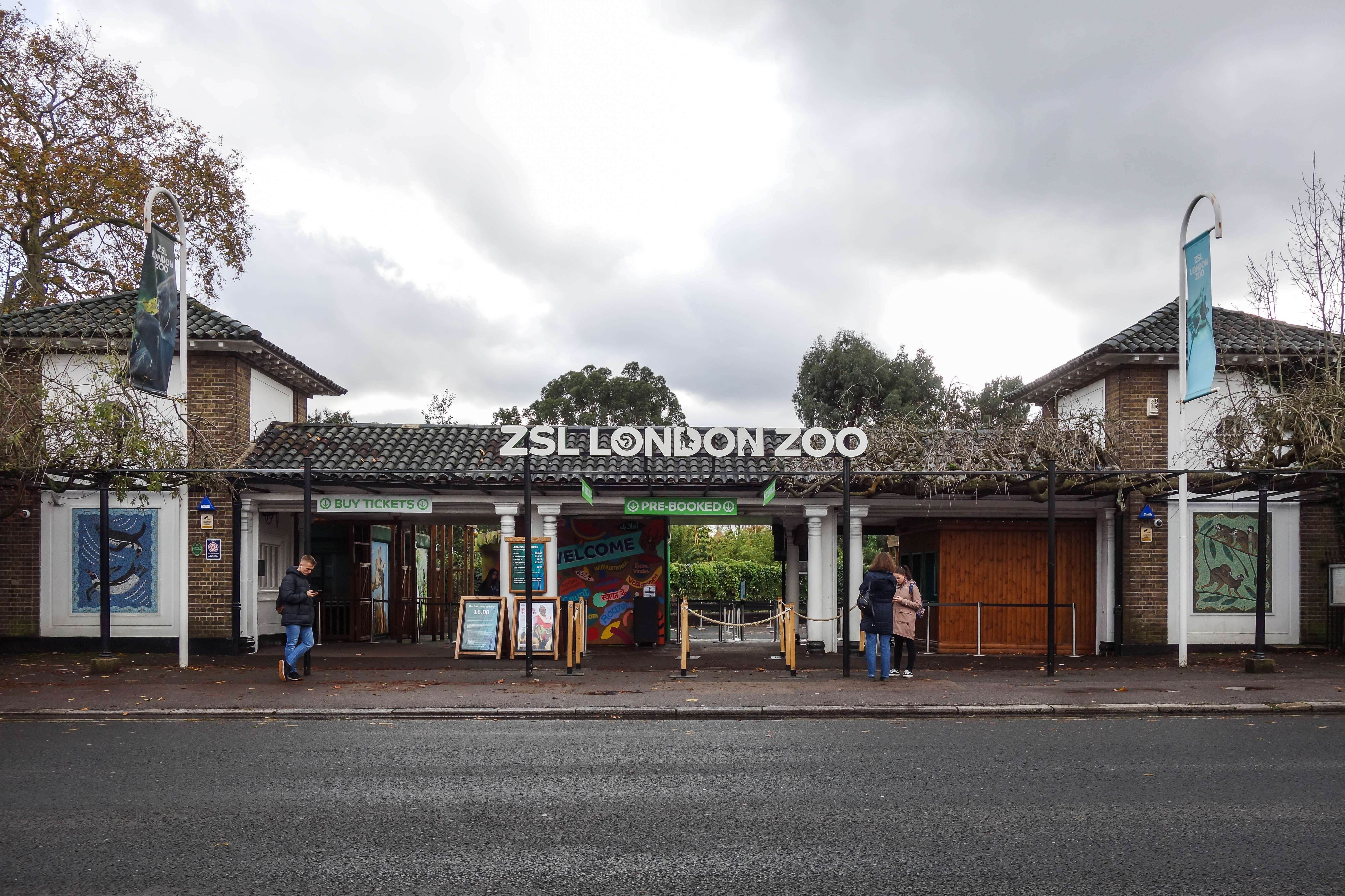  London Zoo
