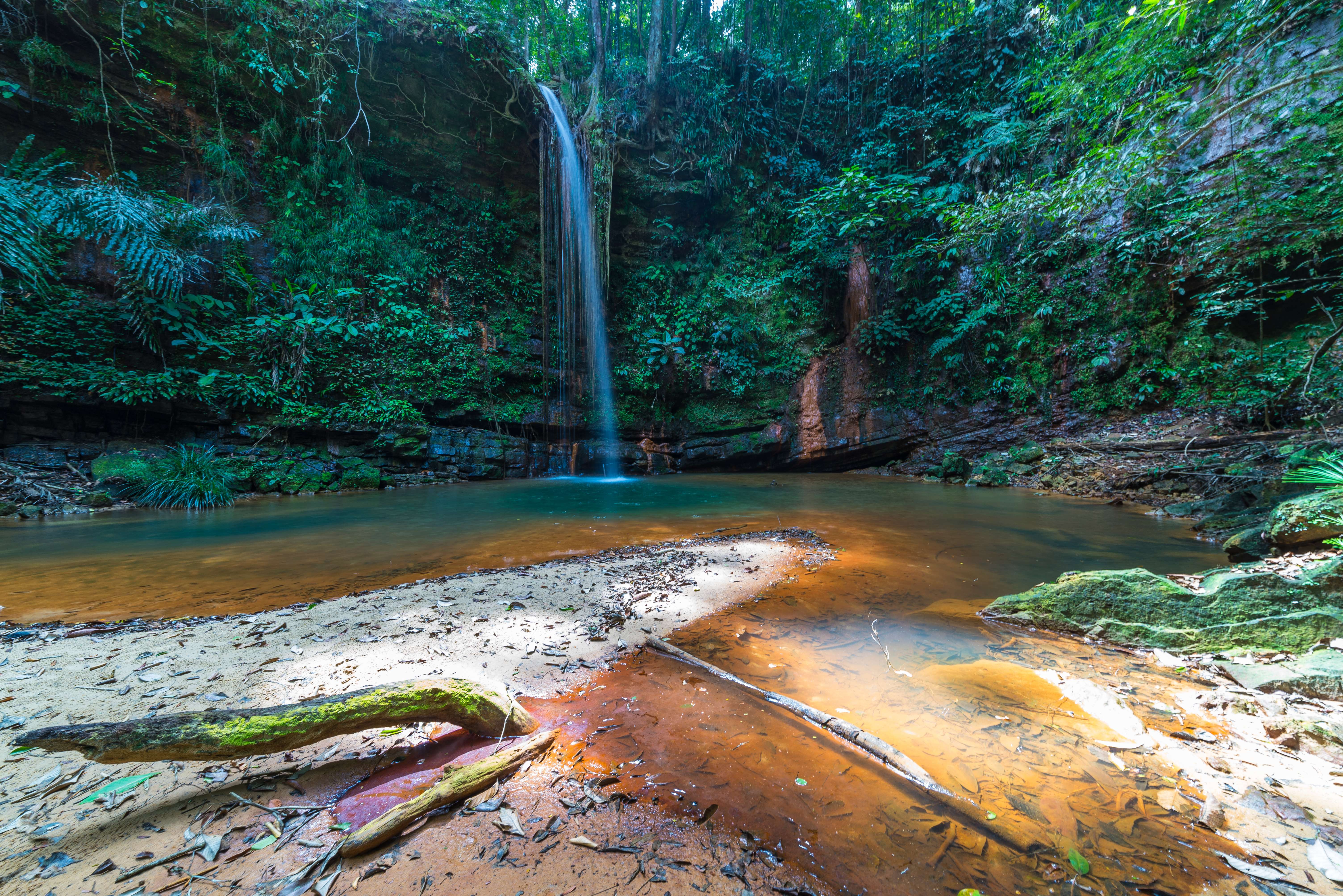 Lambir Hills National Park