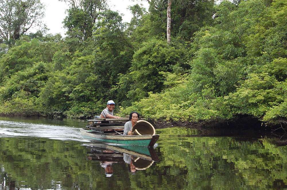 Loagan Bunut National Park 