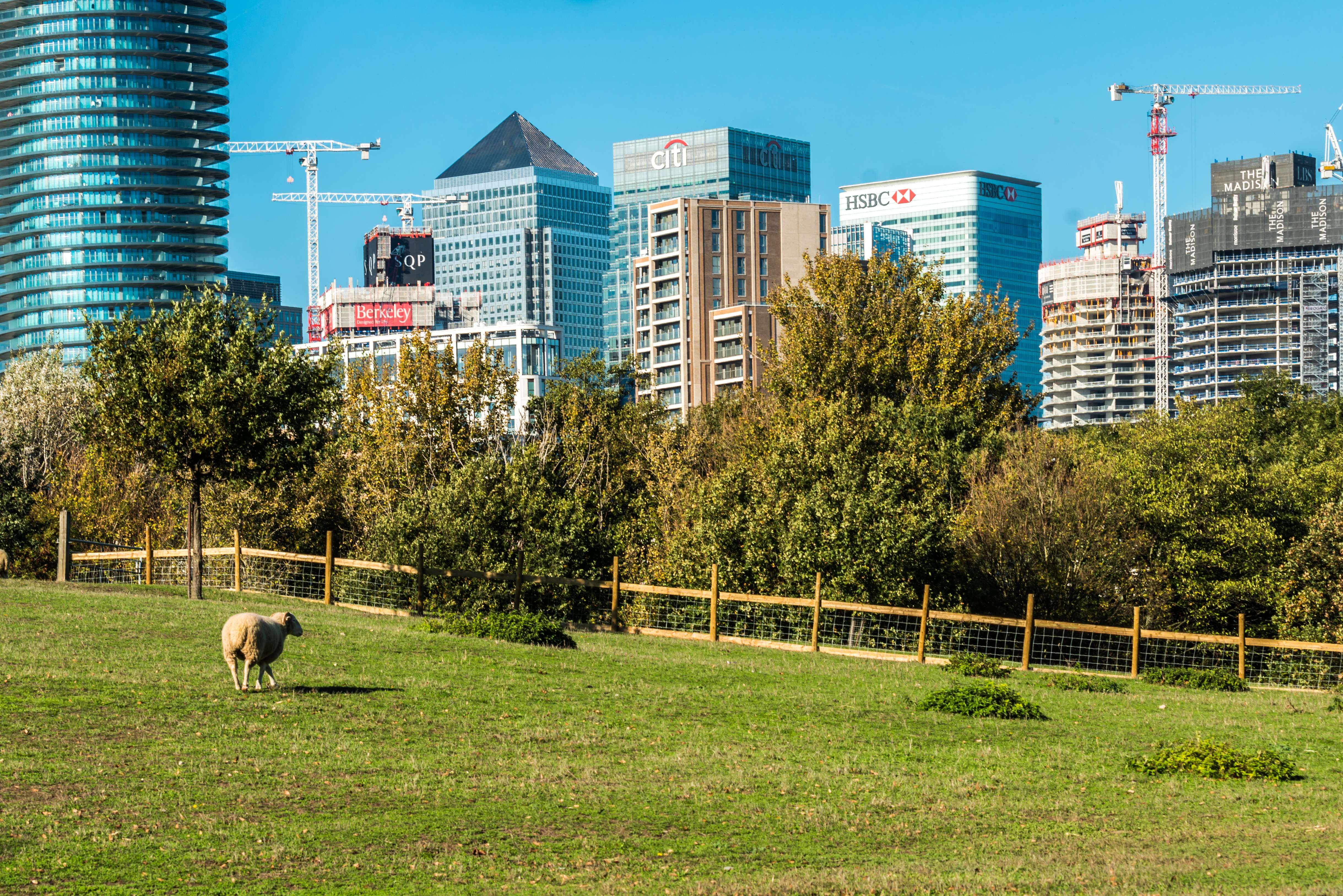 Explore Mudchute City Farm
