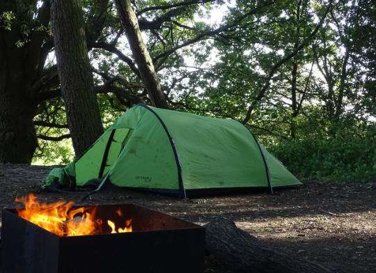 Little Ropers Woodland Camping, Suffolk