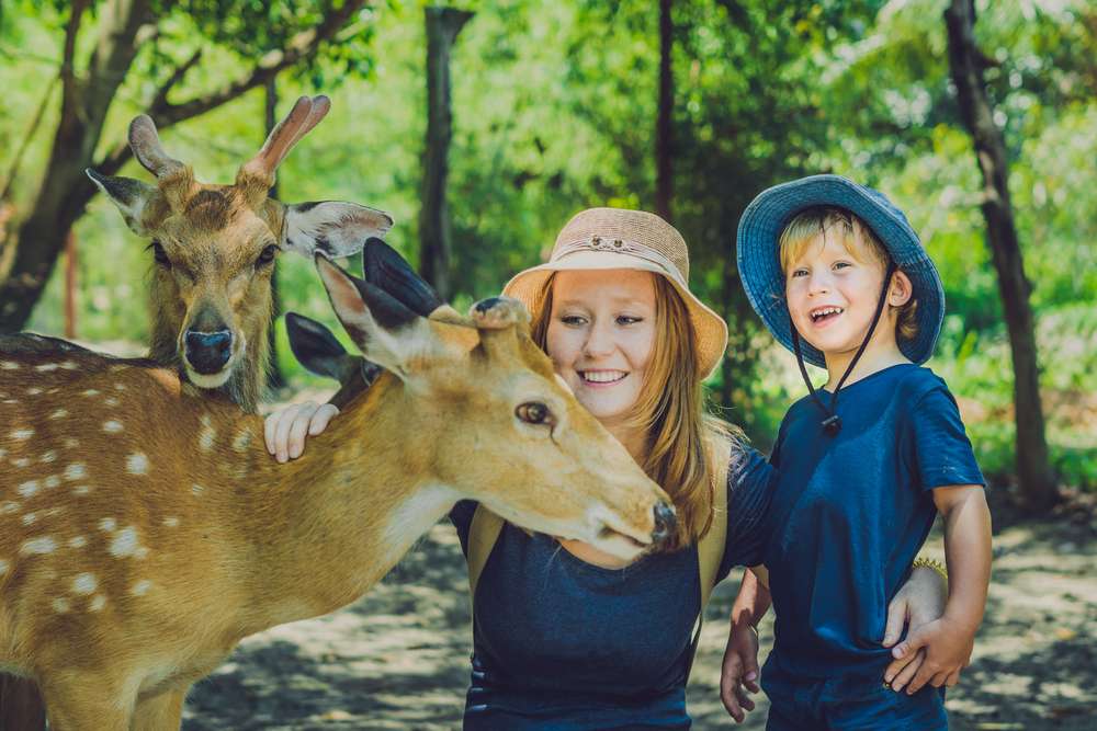 Have fun at Bali Zoo