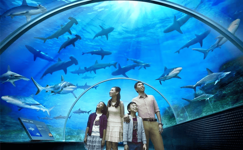 Visit Langkawi Underwater World 