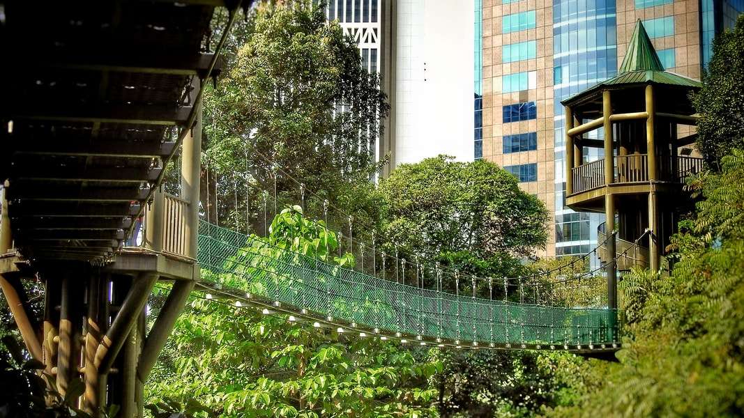 Explore KL Forest Eco Park