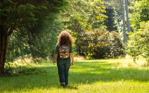 Visit Dimmingsdale Valley