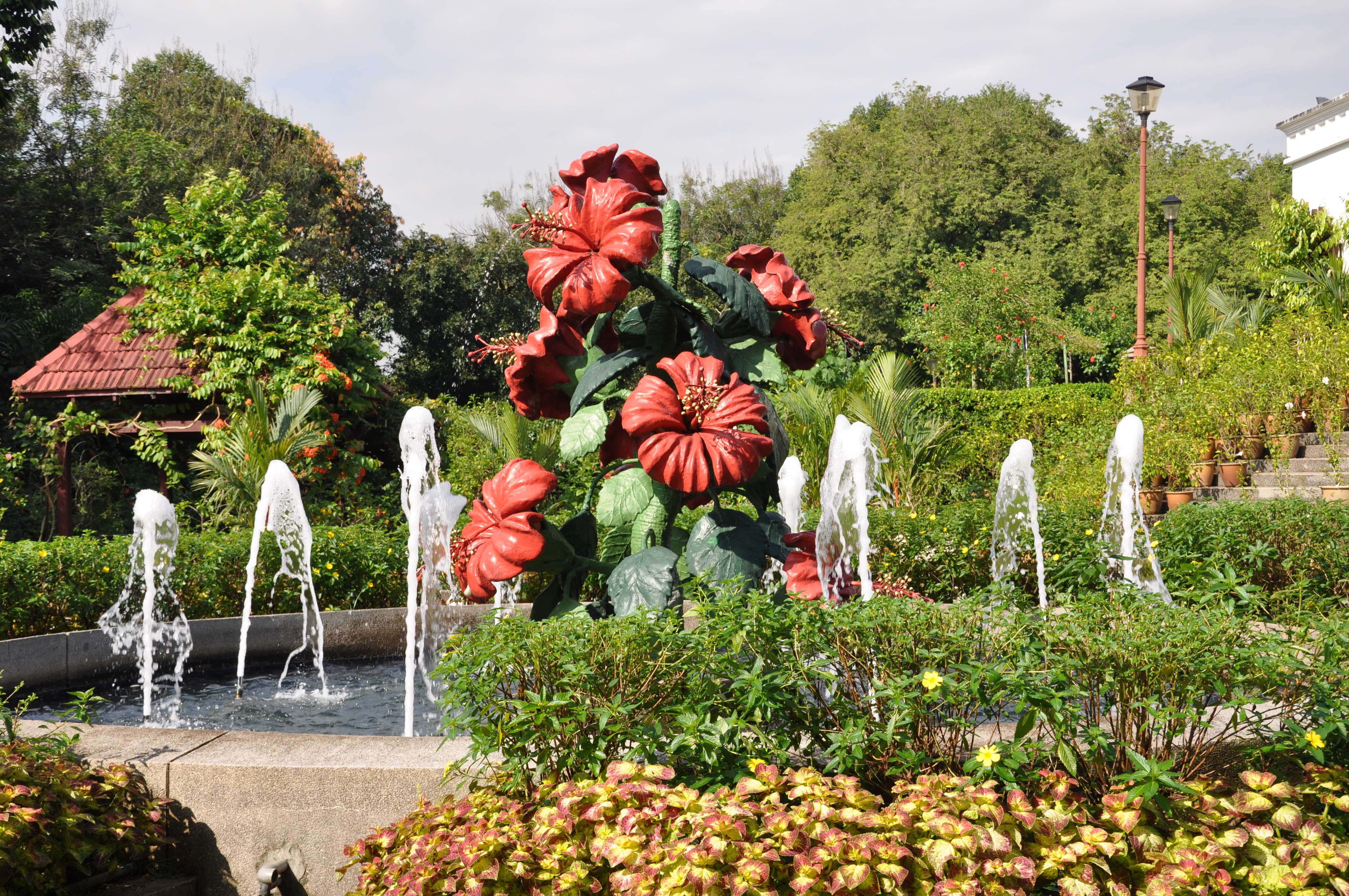Orchid & Hibiscus Garden 