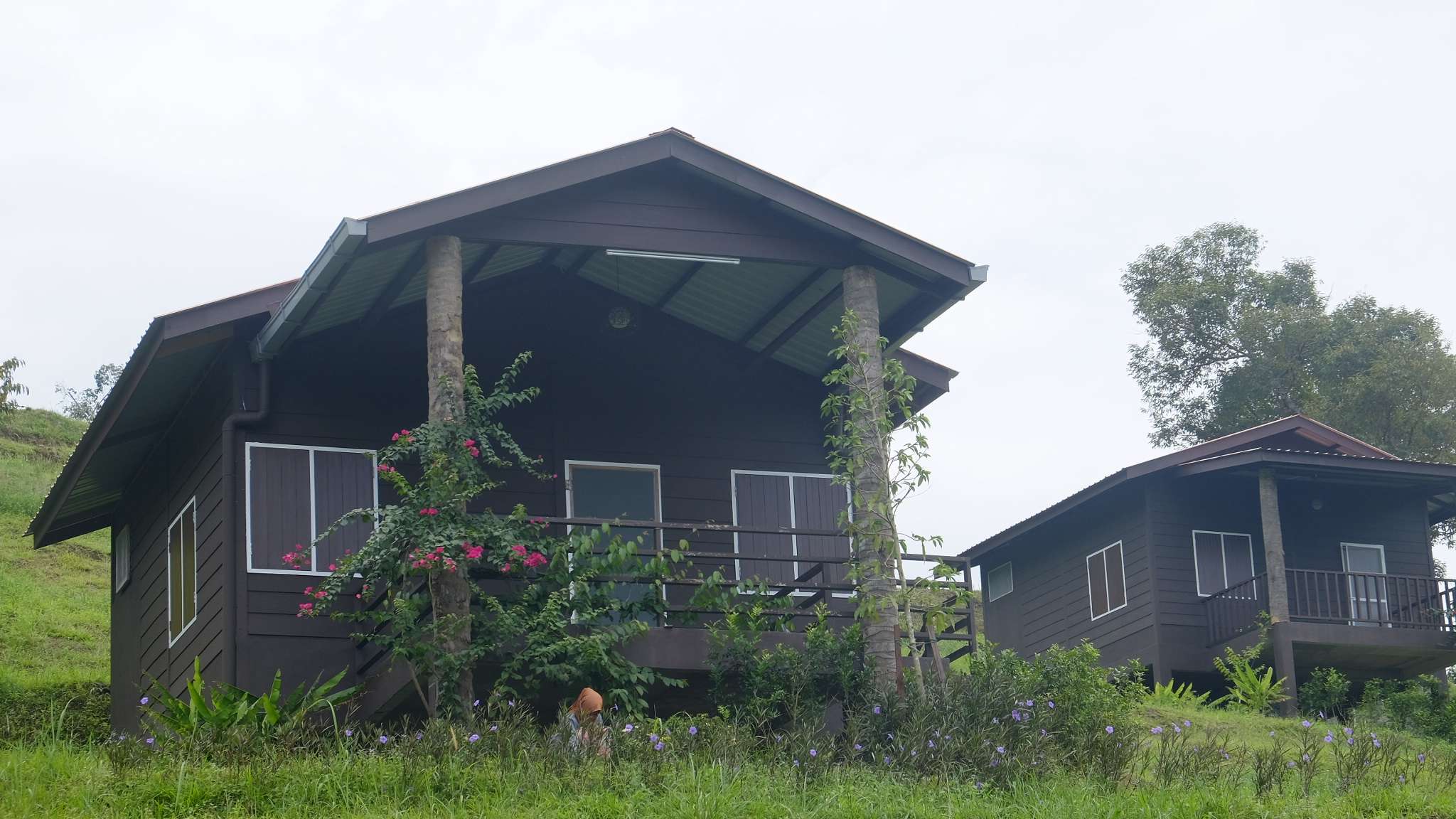 Lolo Mike's Eco Farm, Kerling