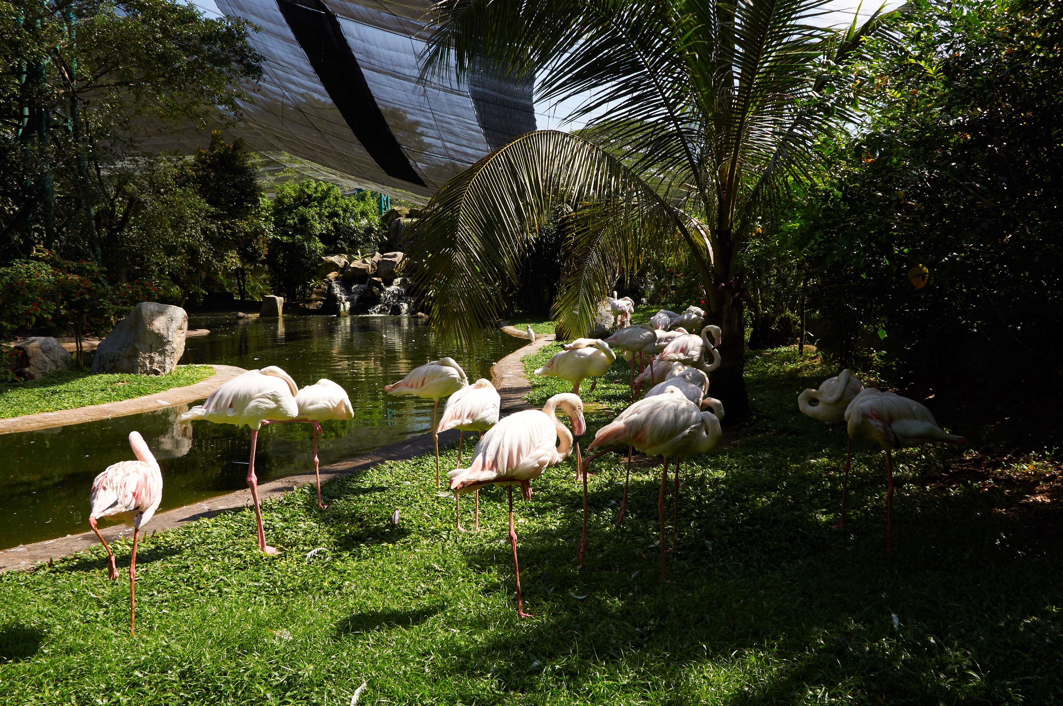 Kuala Lumpur Bird Park