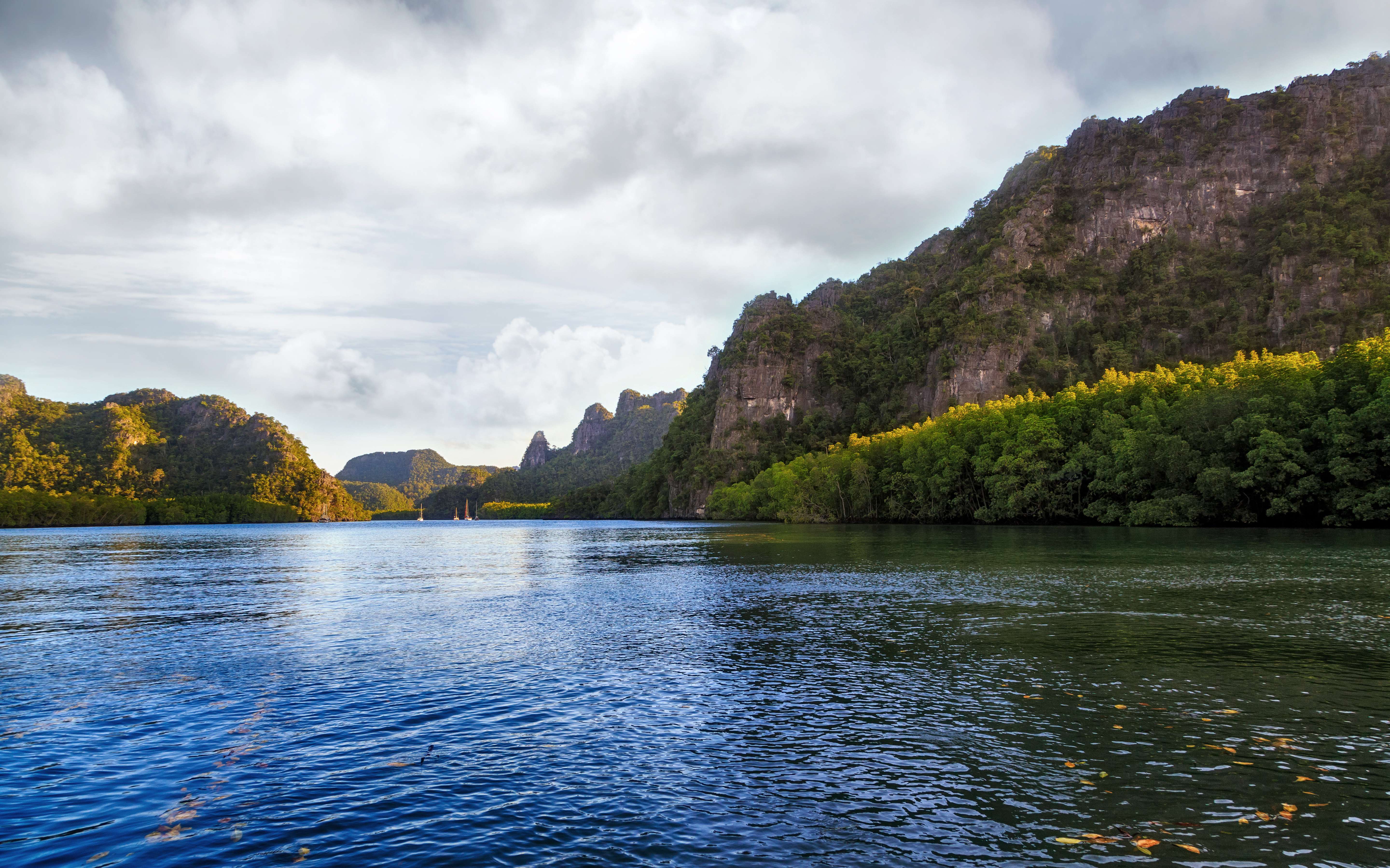 Langkawi Mangrove