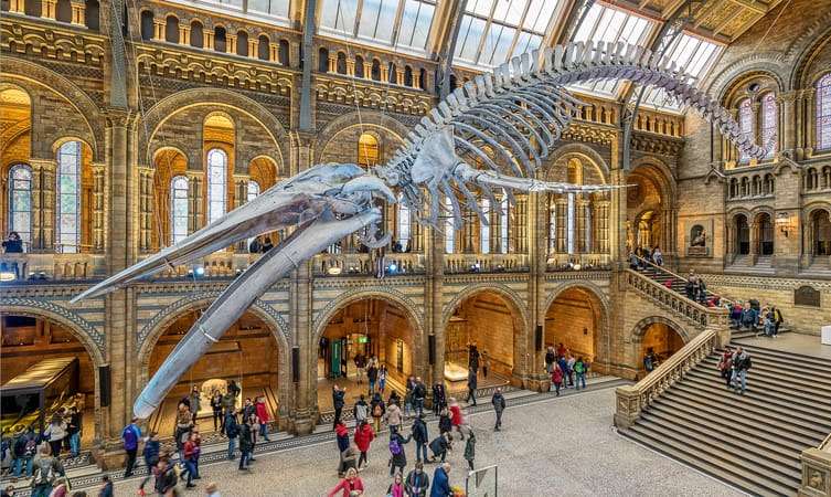  Explore Science Museum