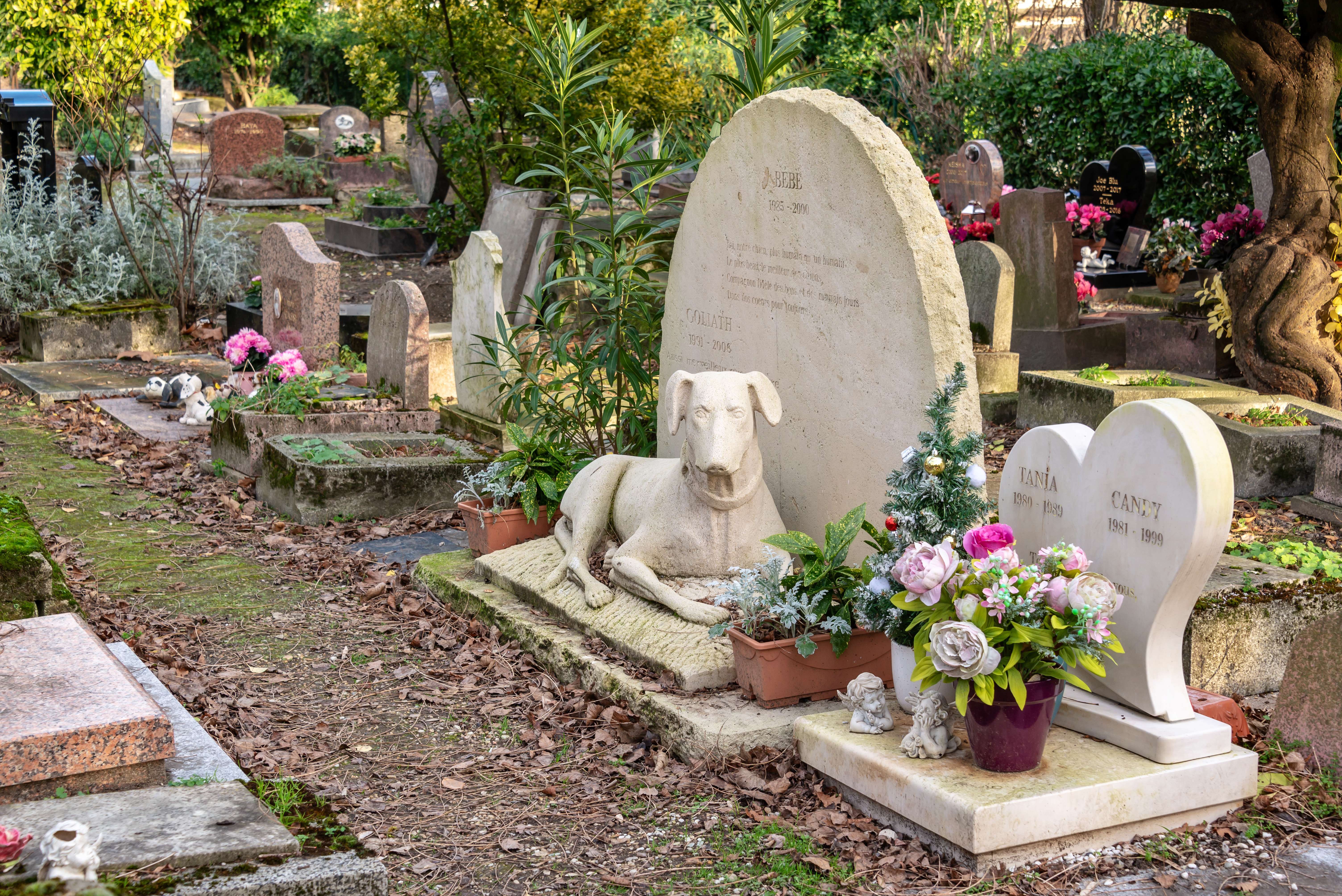 A Pet Cemetery