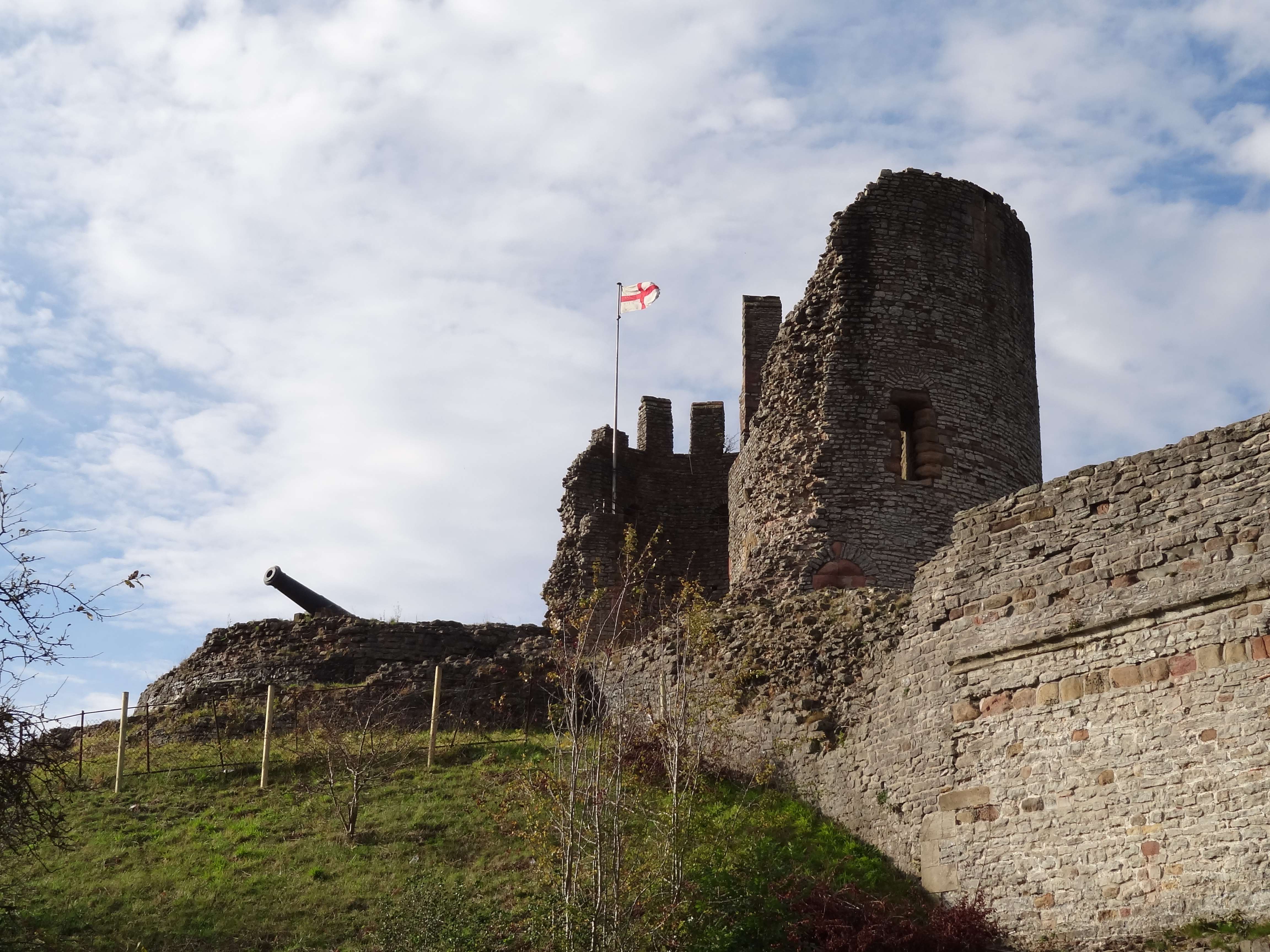 Visit Dudley Zoo & Castle