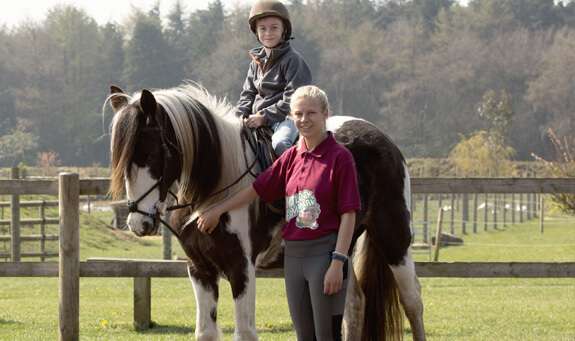  Feed the Animals at Matlock Farm Park