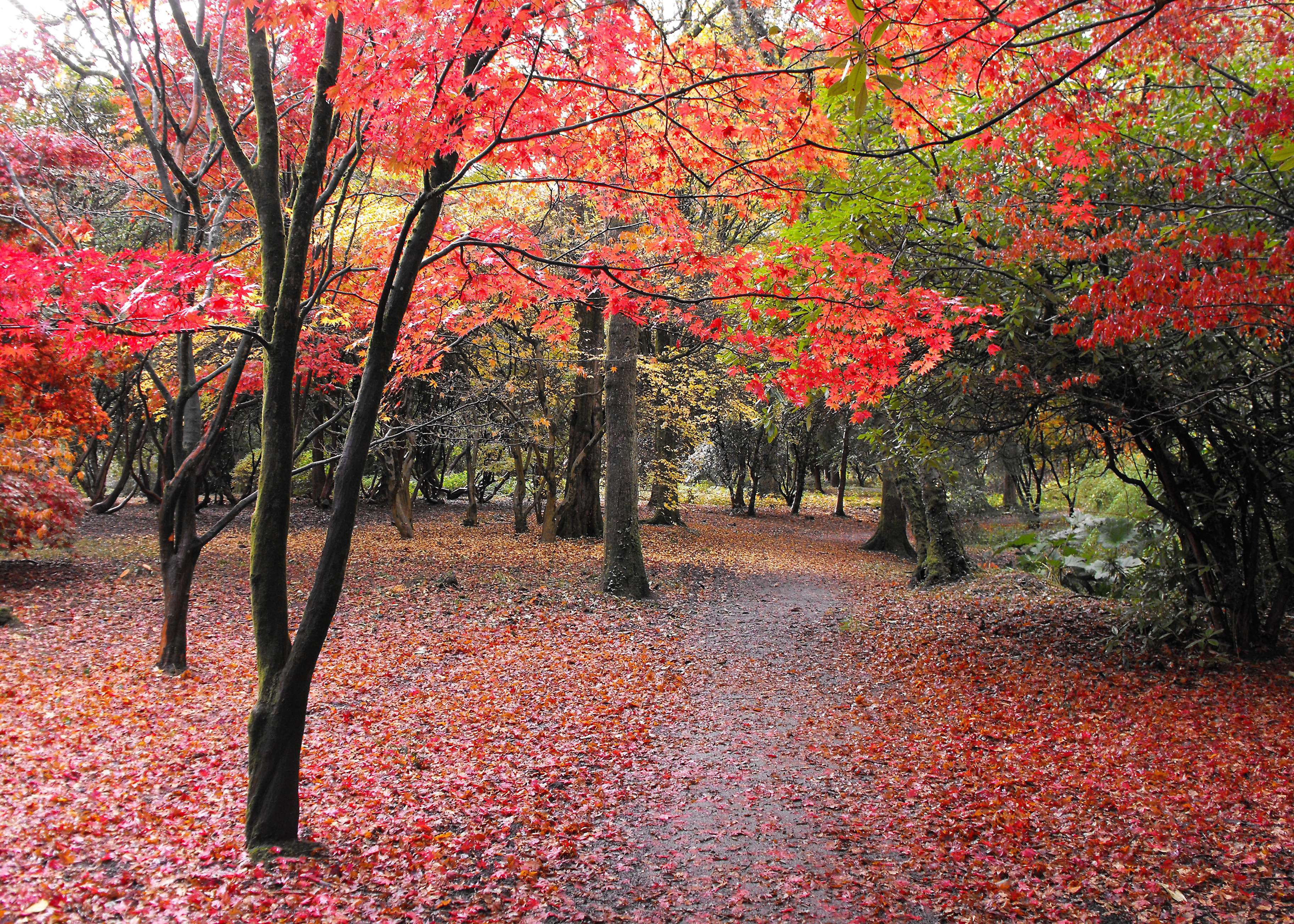 Stroll Around Cefn Onn Park
