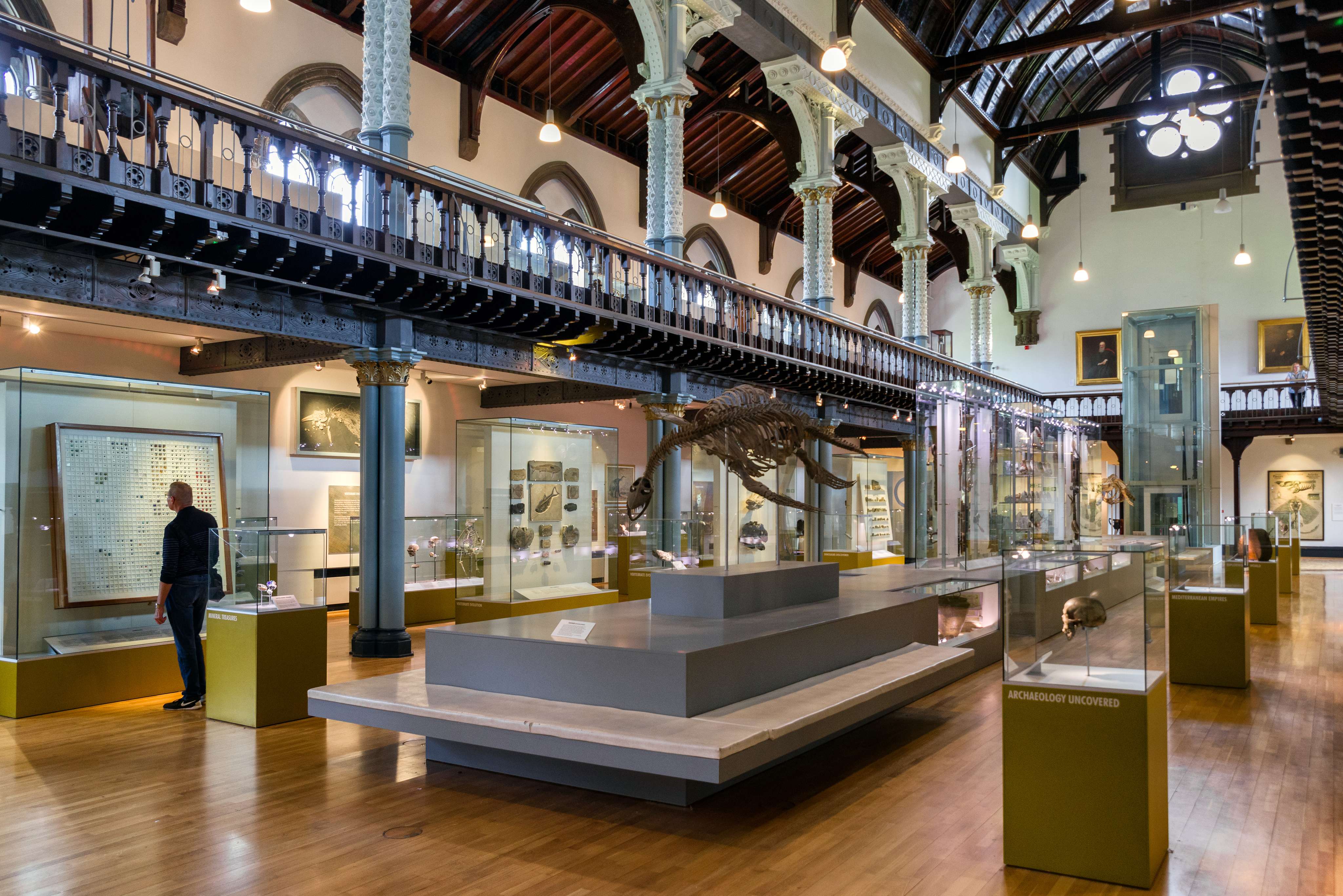 Discover Mummies And Dinosaur Bones At The Hunterian Museum