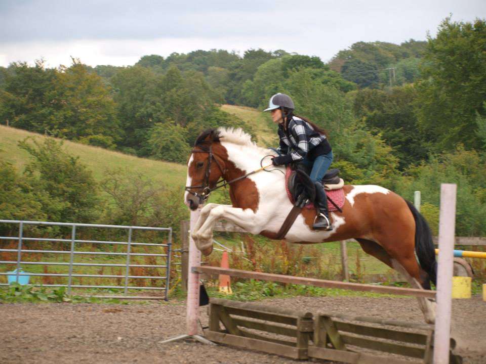 Take A Horse Ride At Tannoch Stables