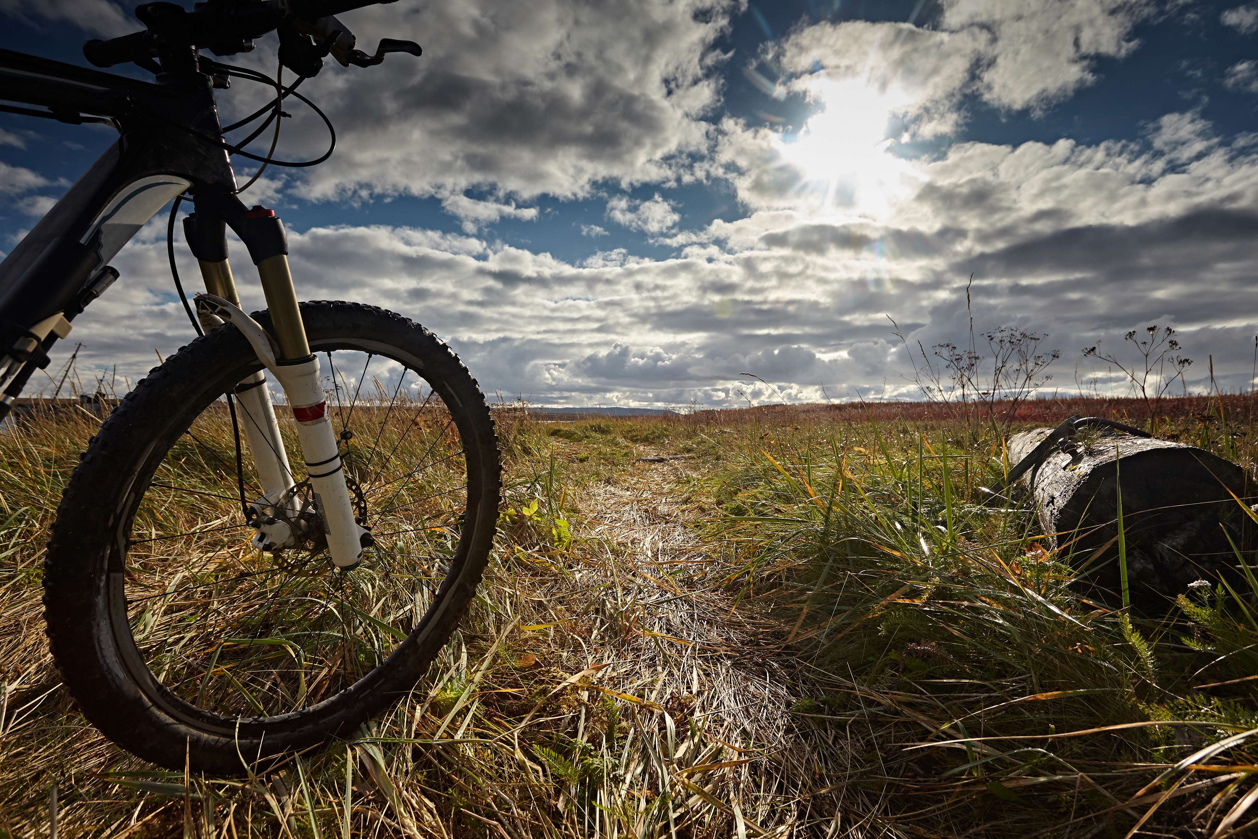 Drive Cycle At Free Wheel North