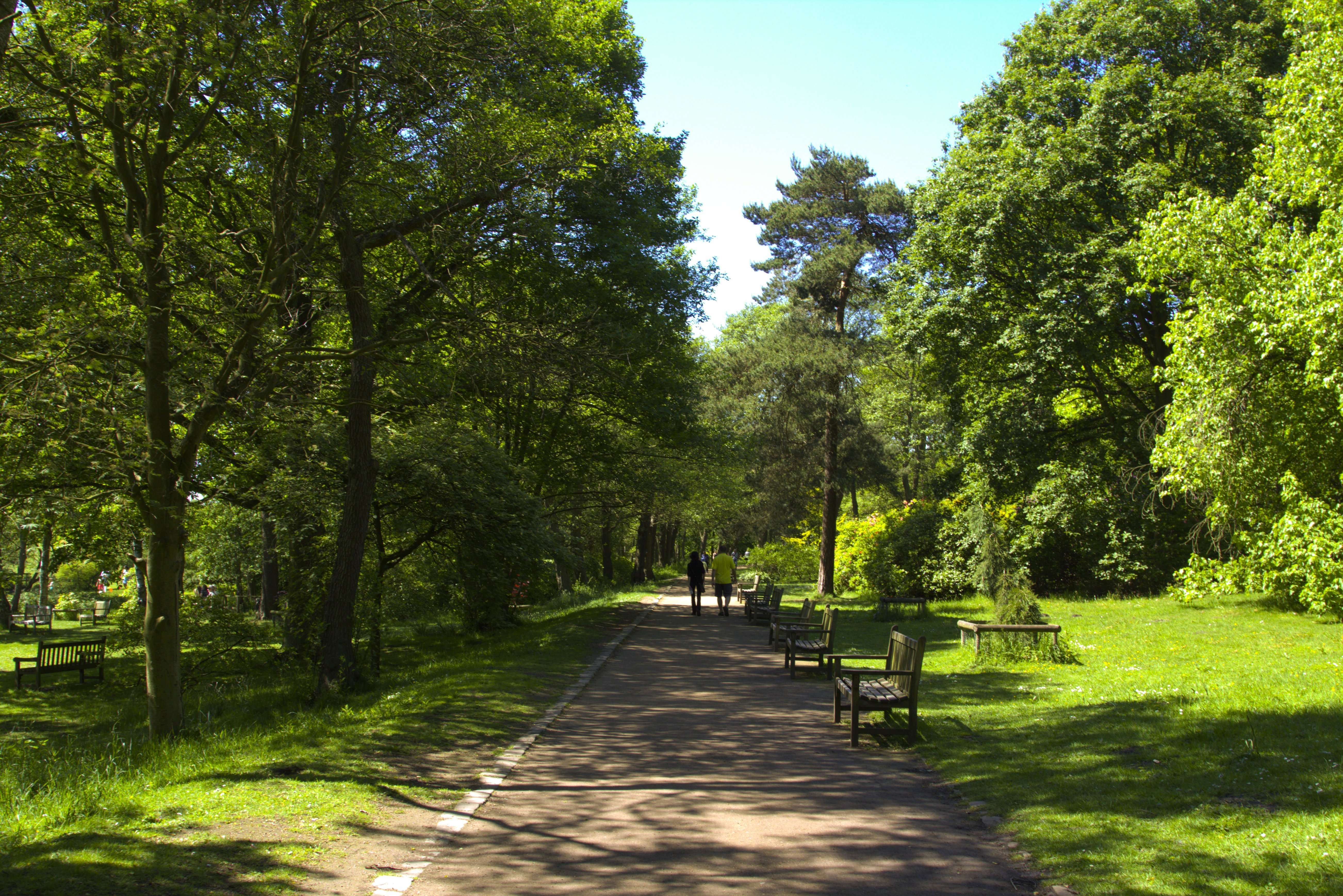 Step Into A Tropical World In Roundhay Park