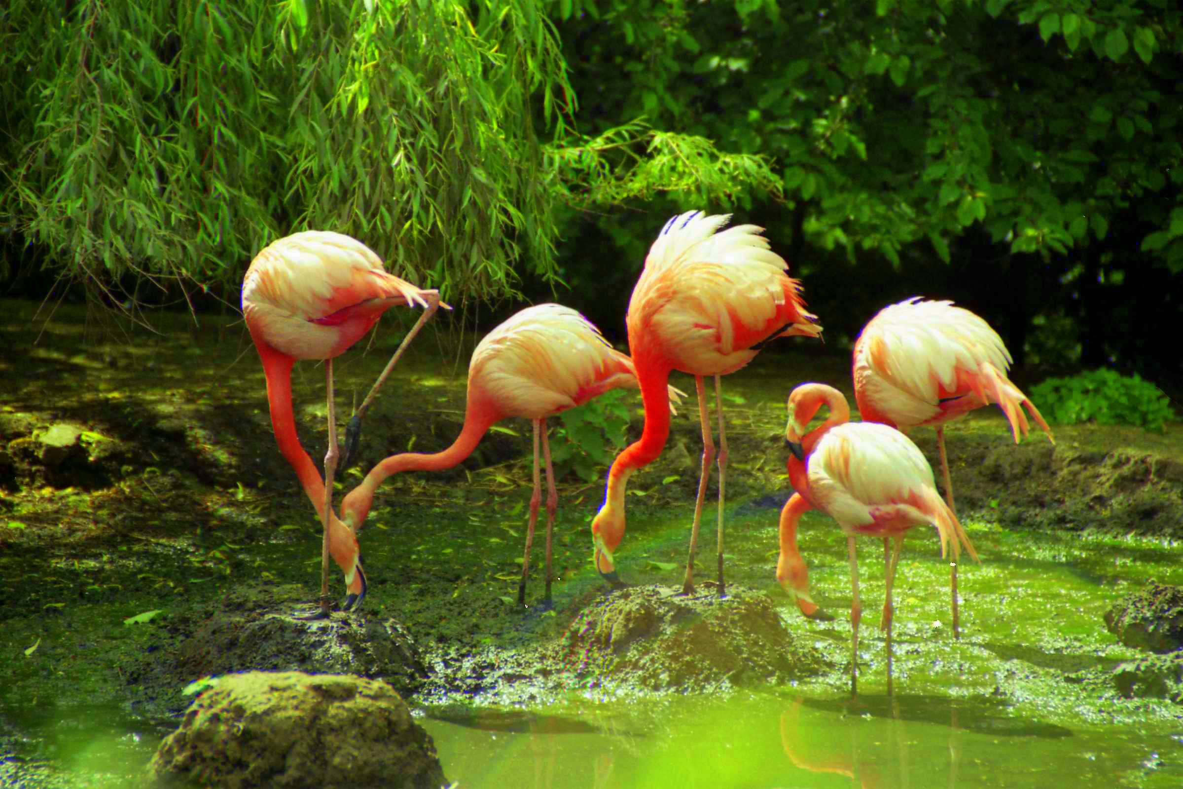 See The Wildlife At Lotherton