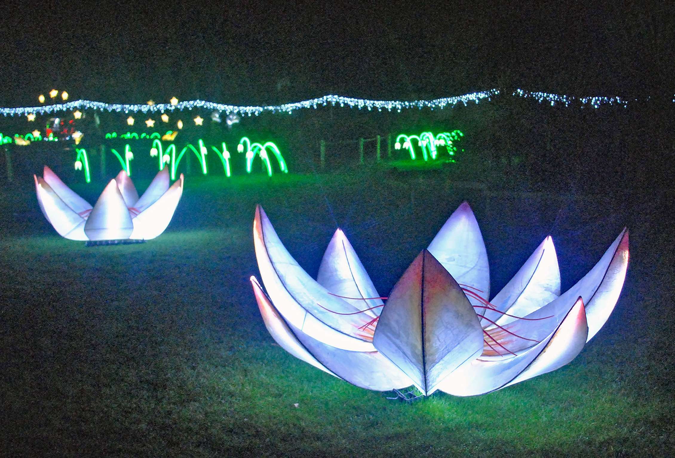 Christmas Lanterns At Chester Zoo