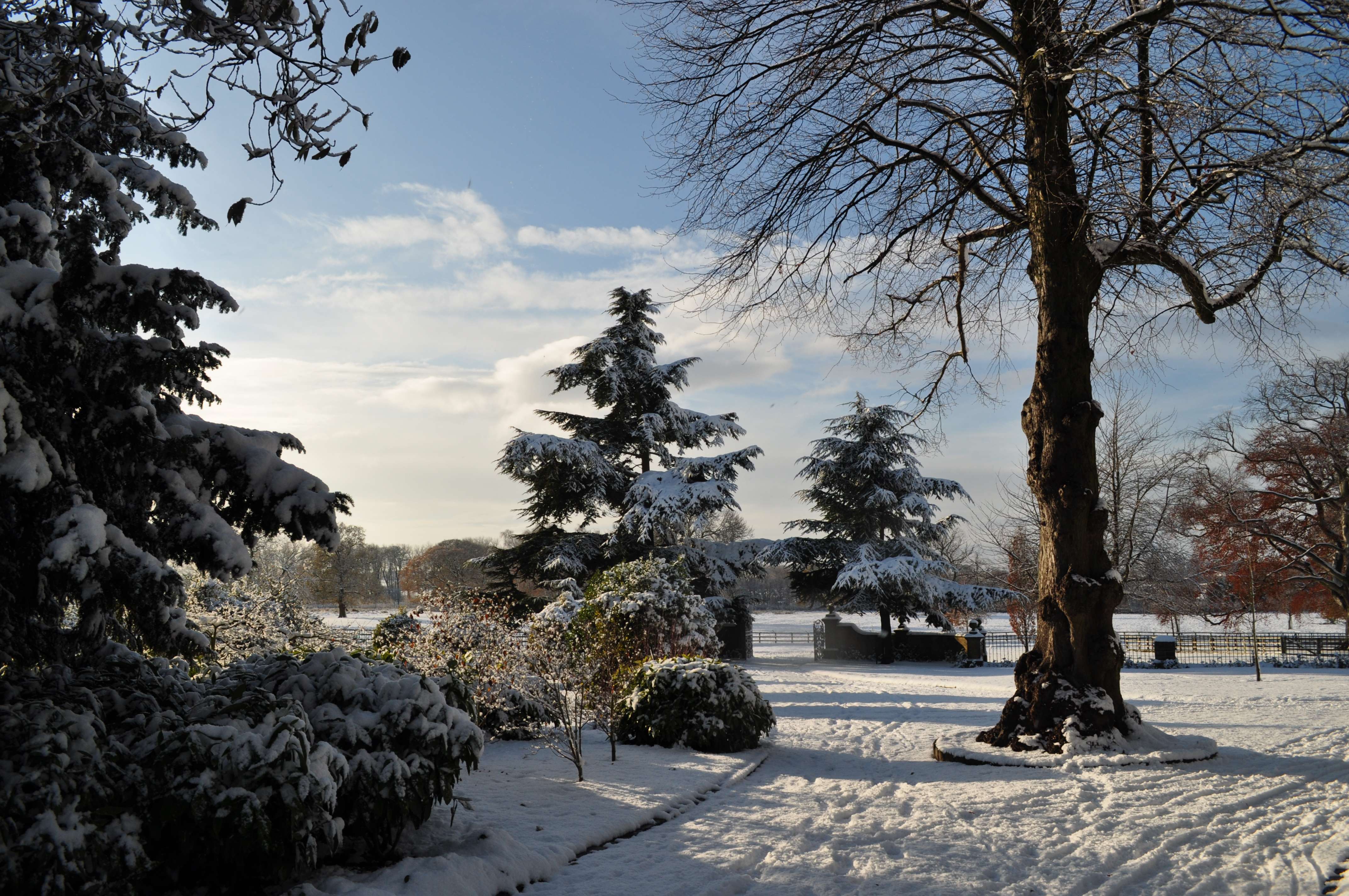 Lotherton Hall's Christmas Experience