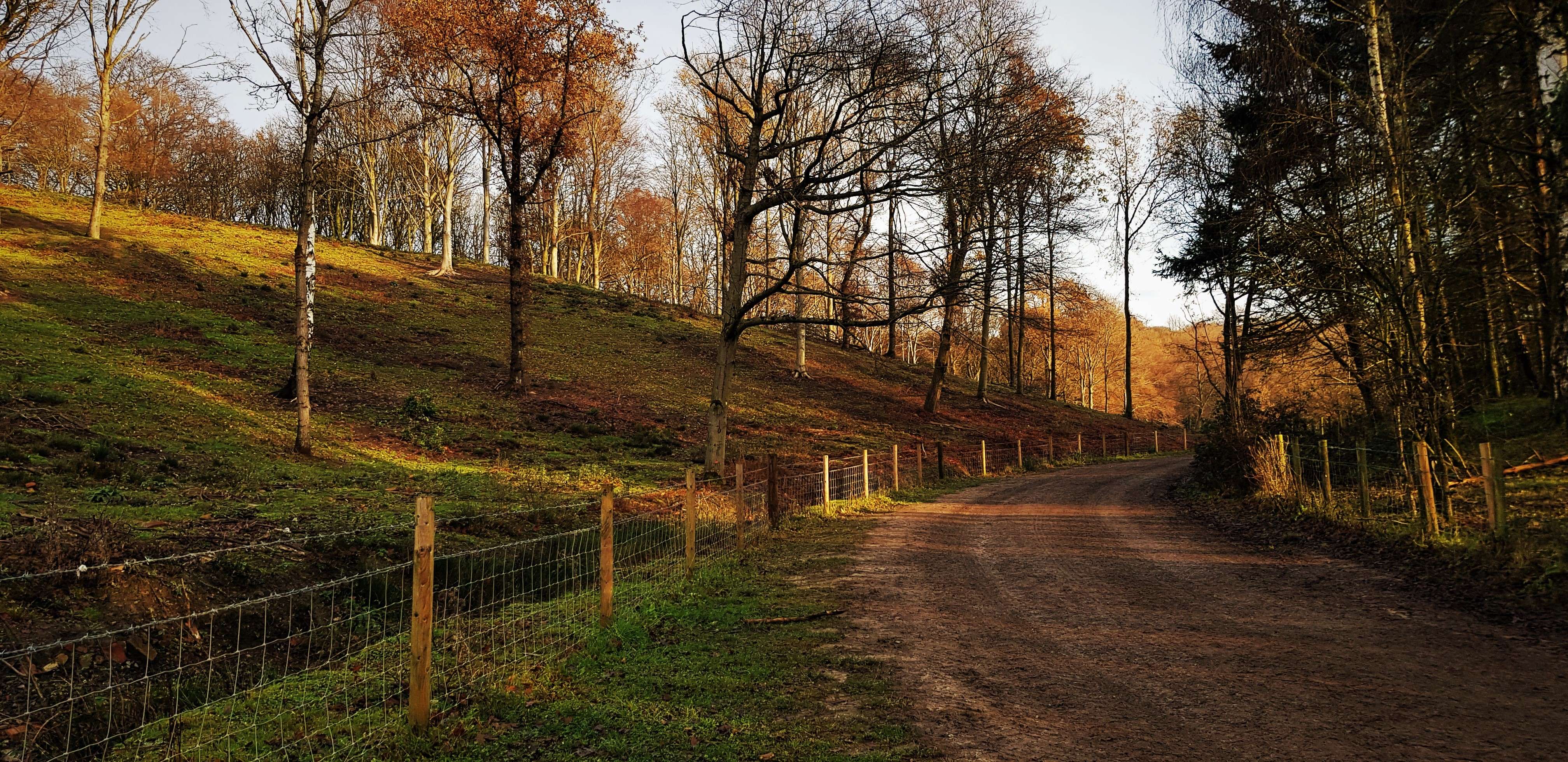 Pay A visit To Temple Newsam At Christmas