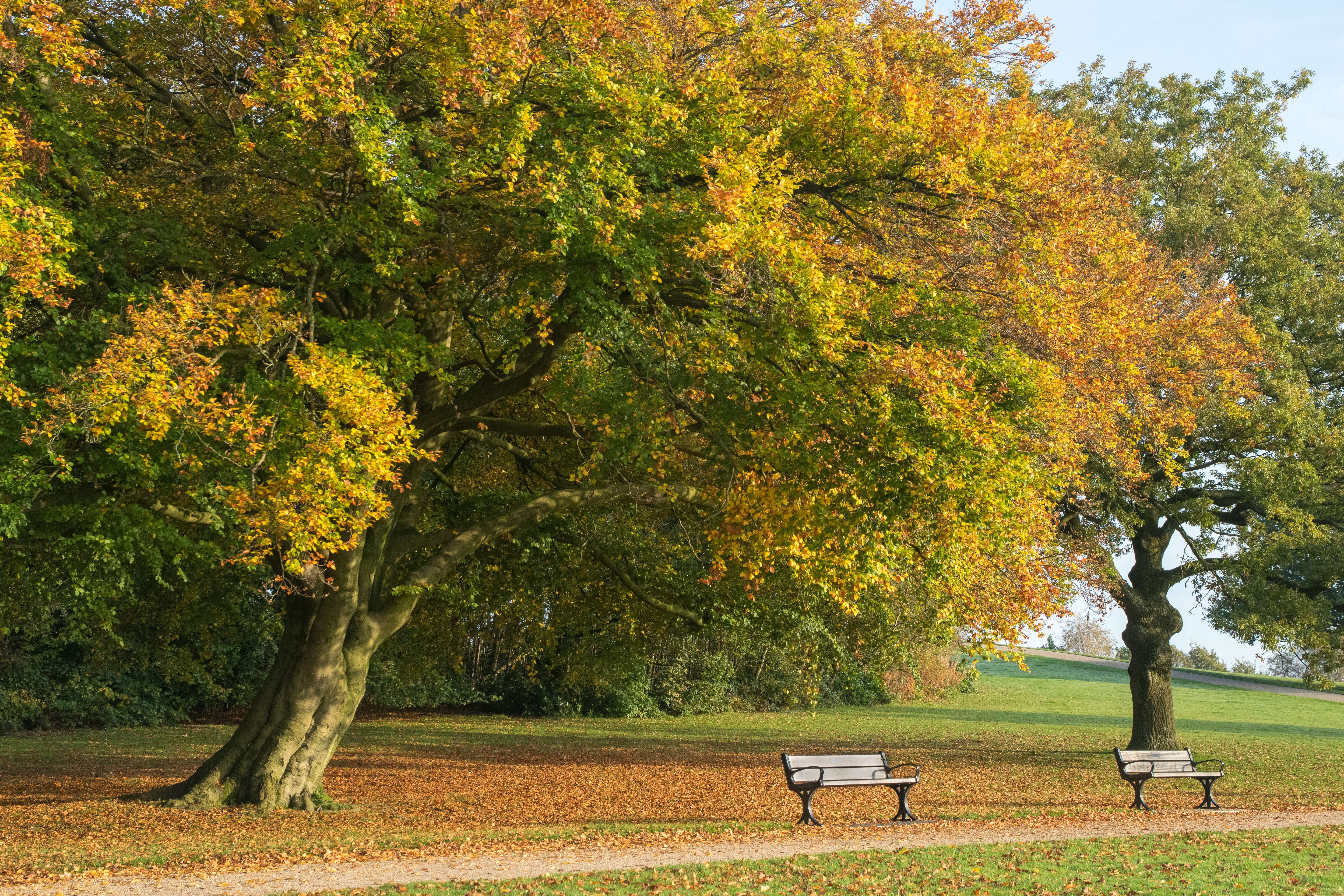 Go For A Romantic Walk In Heaton Park