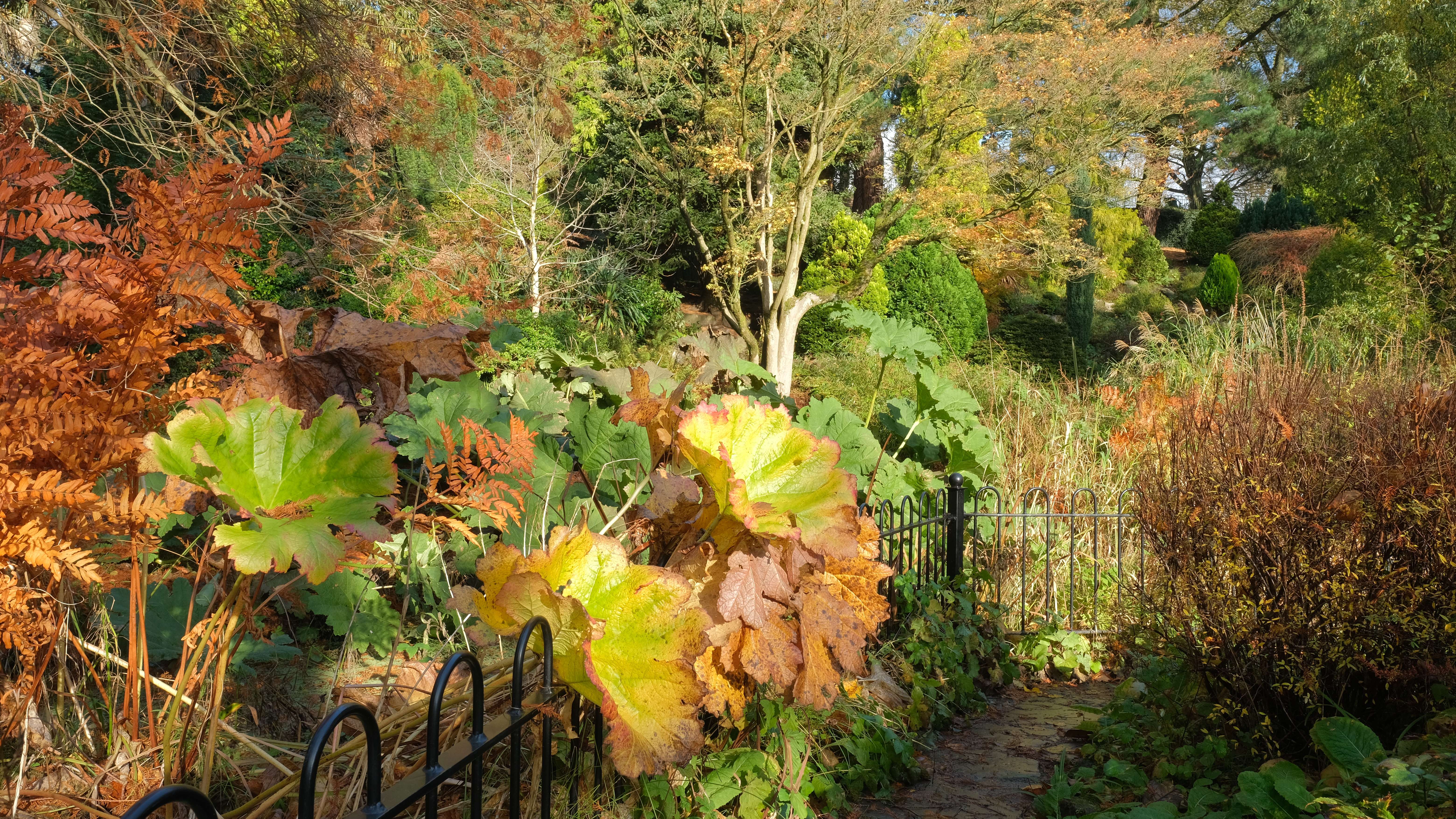 Visit Fletcher Moss Botanical Garden