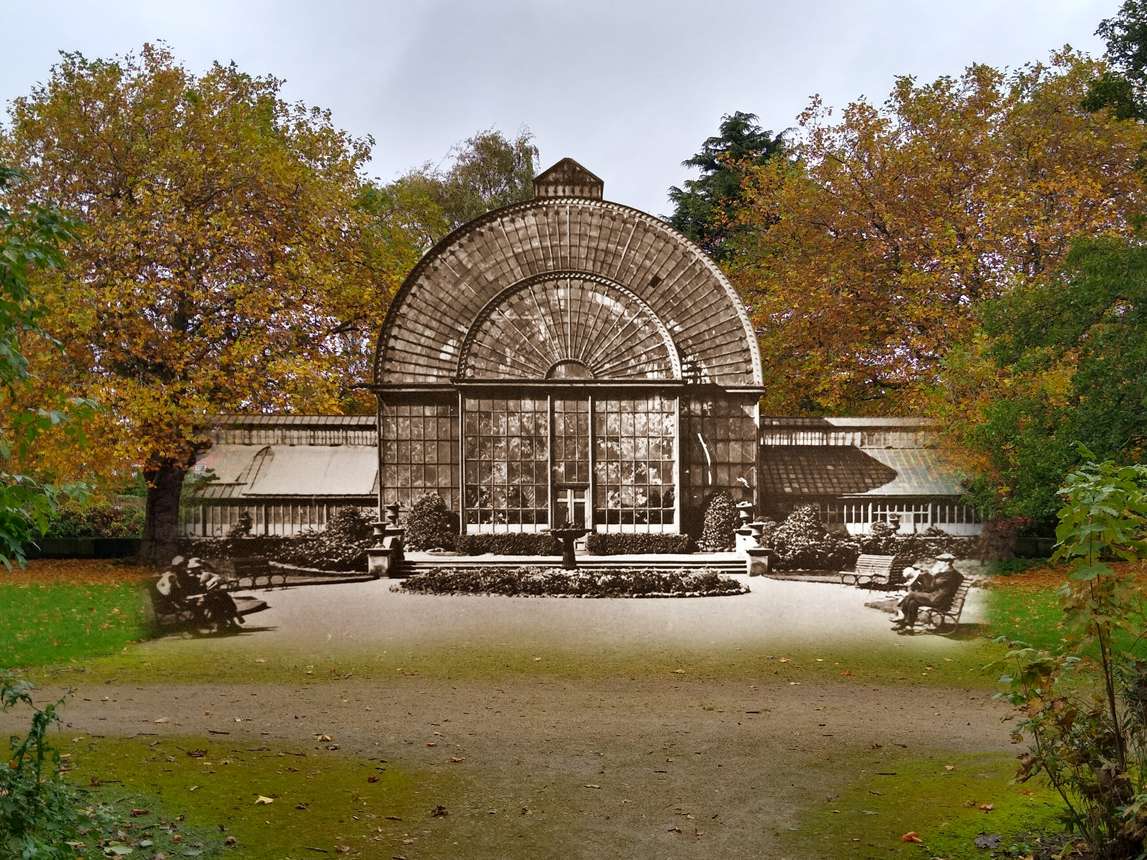 See Nature At The Wavertree Botanic Gardens