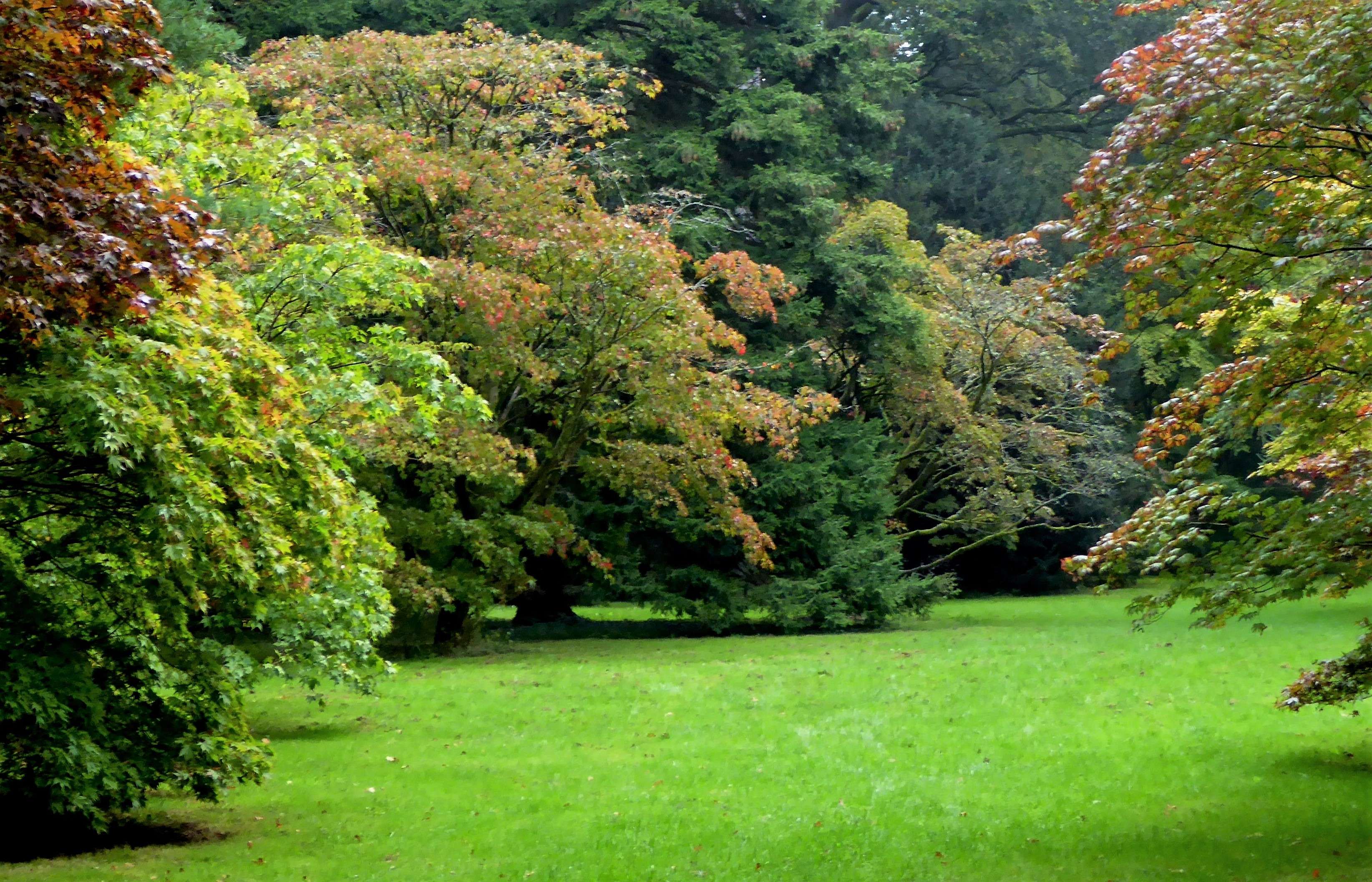 Westonbirt Arboretum