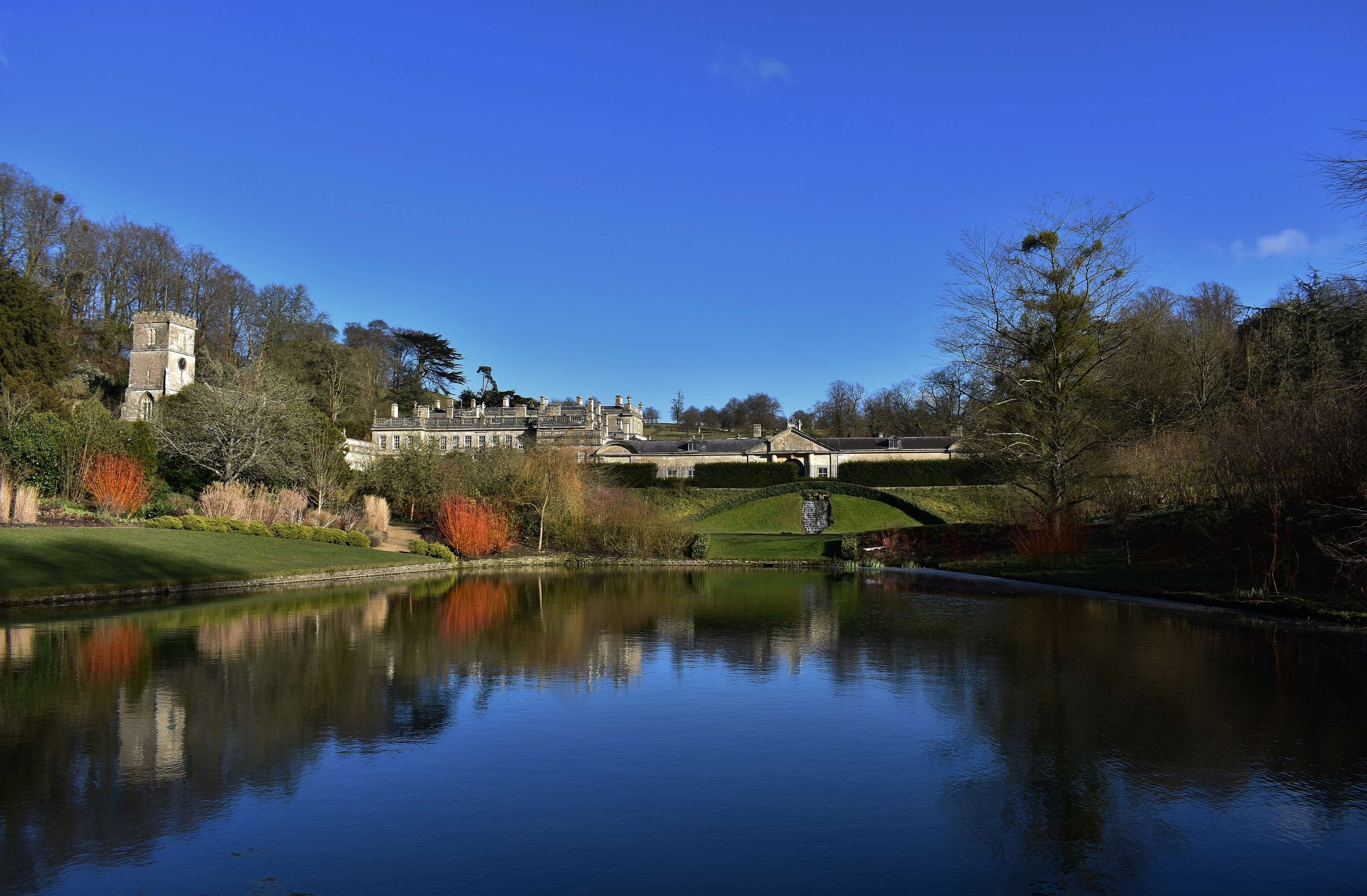 Witness The Animals In Dyrham Park