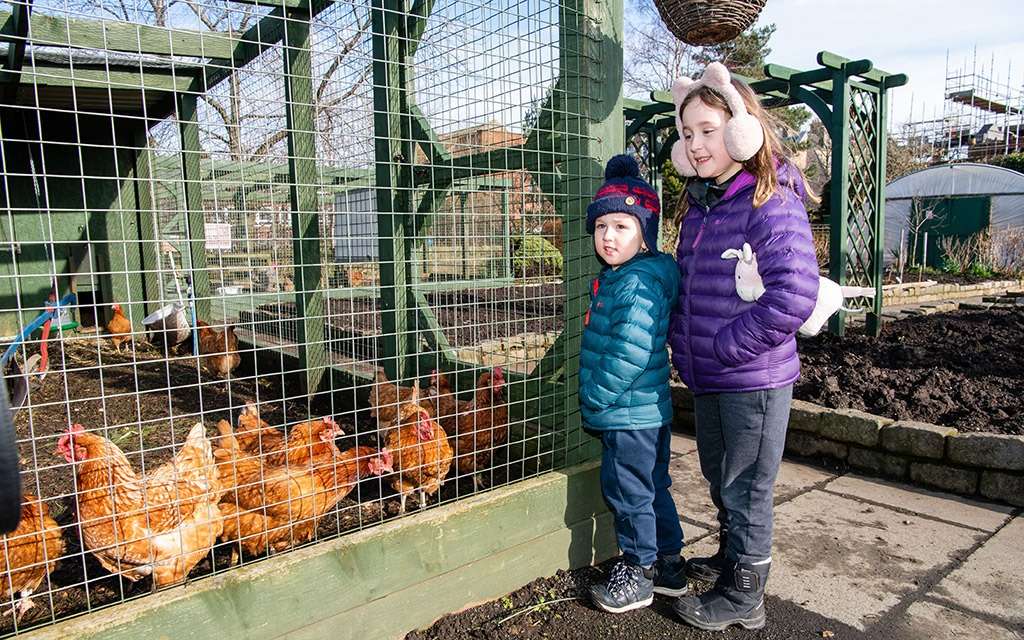 Pay A Visit To Love Gorgie Farm