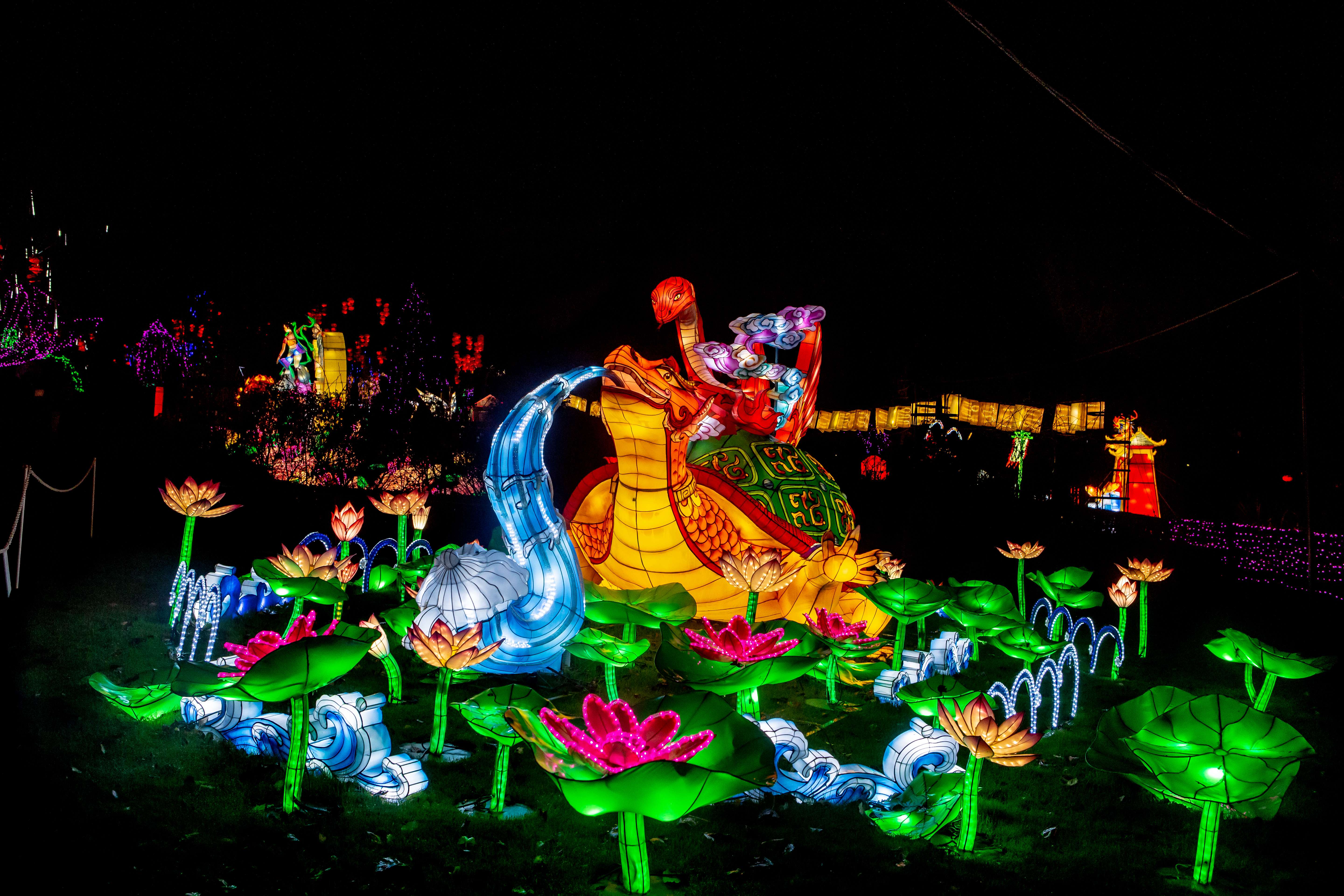 Dazzle With The Giant Lantern Show At Edinburgh Zoo