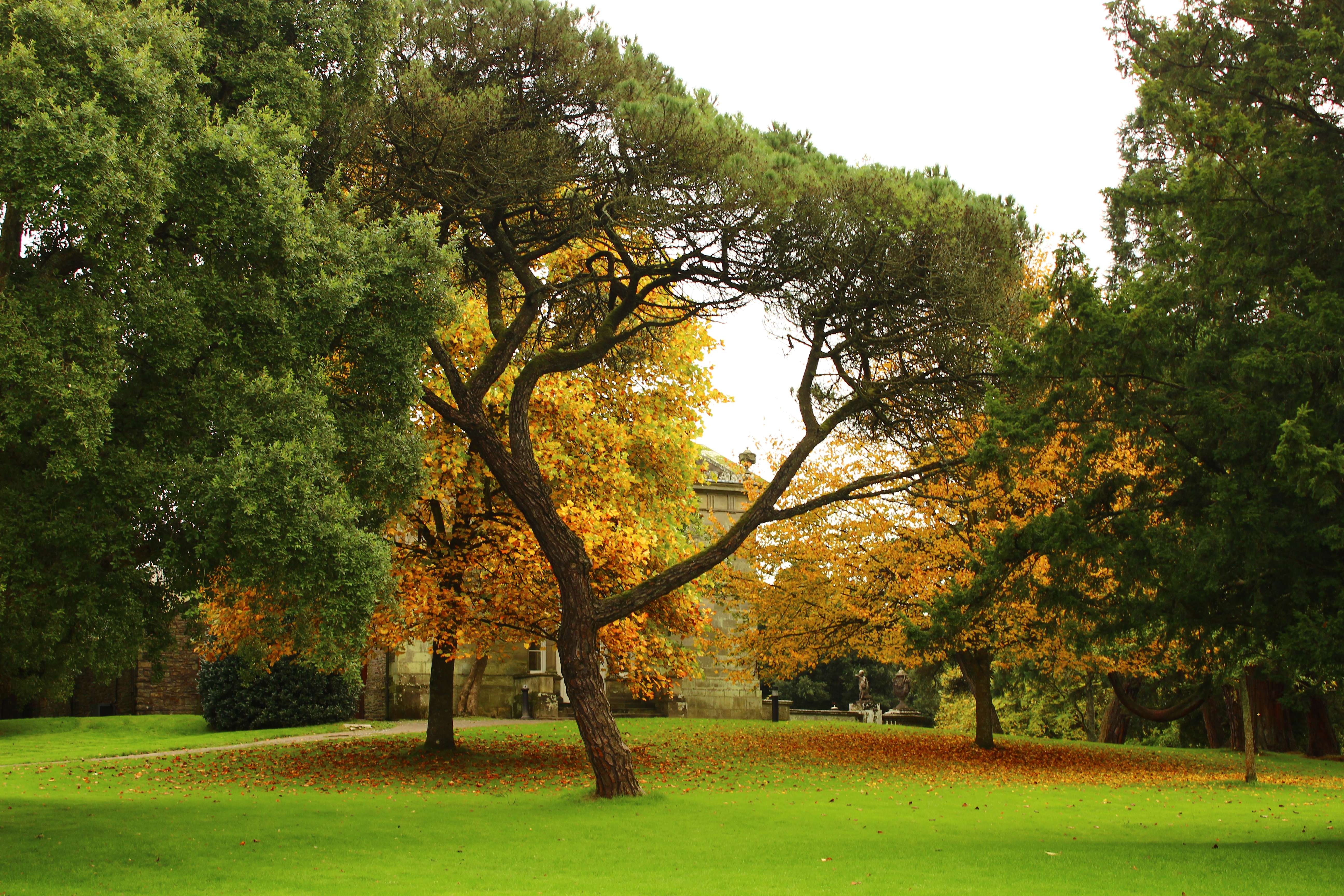 Stroll Around Margam Park