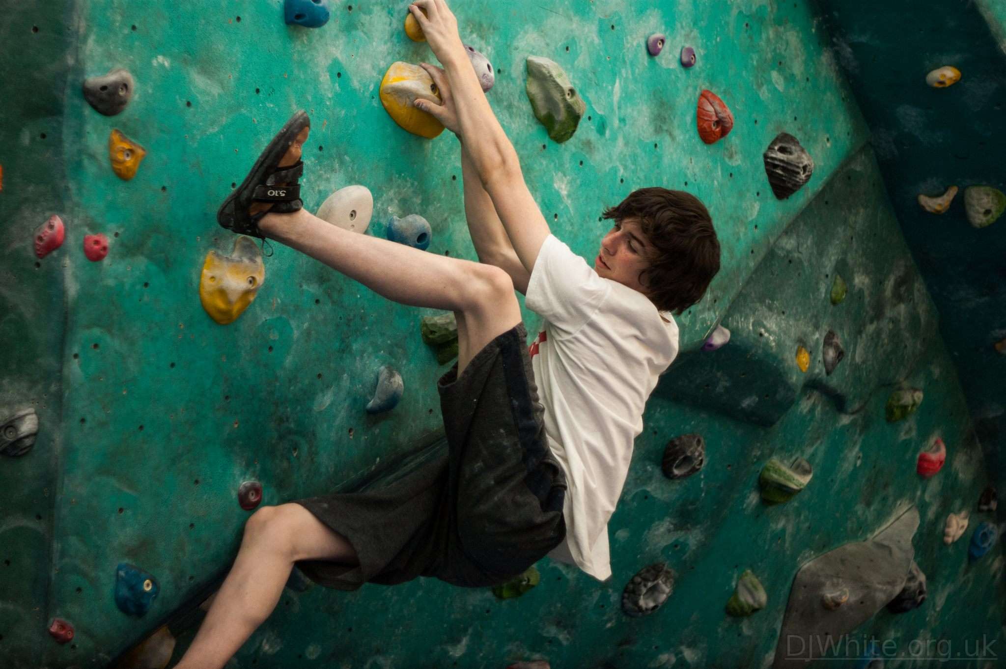 Show Monkey Skills At The Climbing Hangar