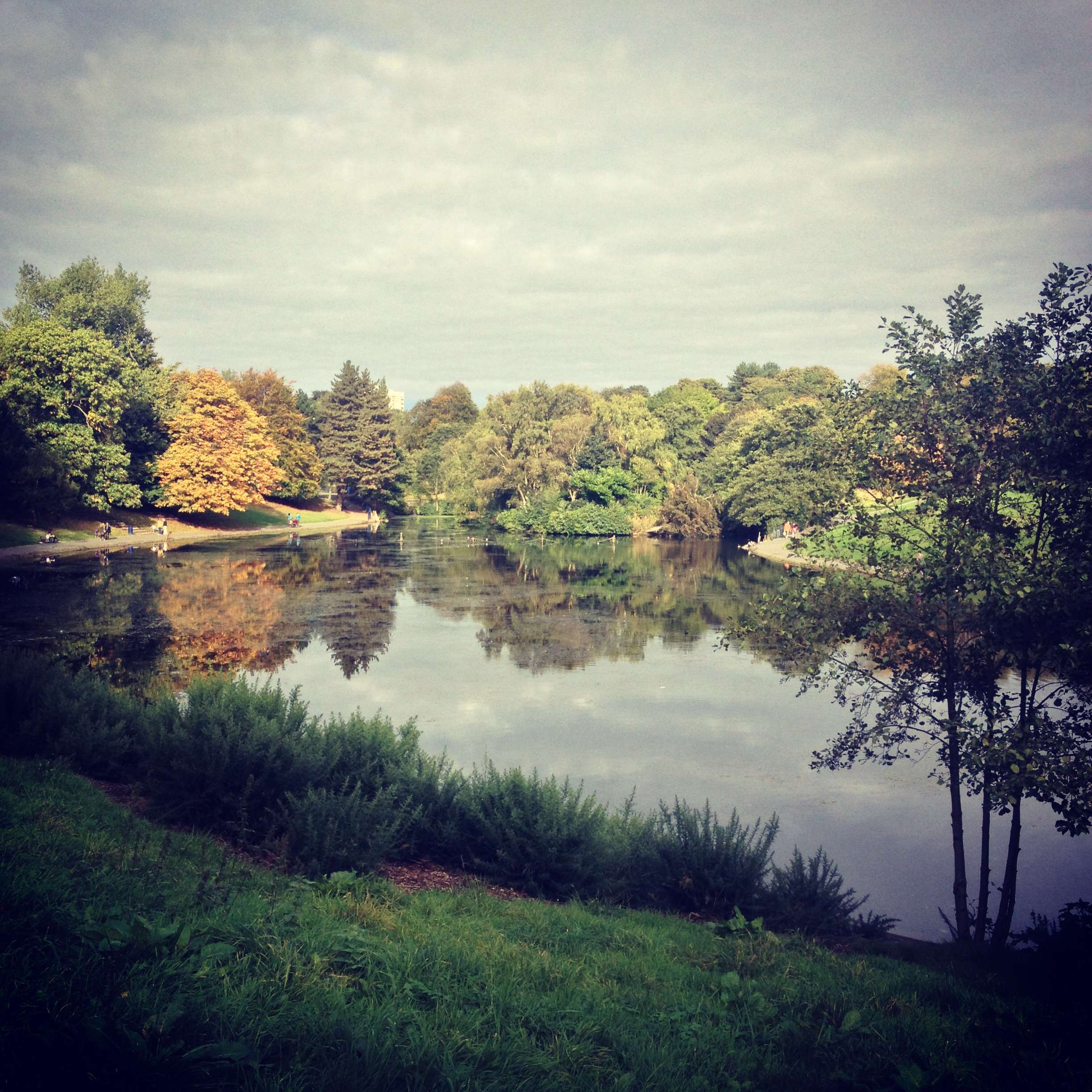 Stroll Around Sefton Park