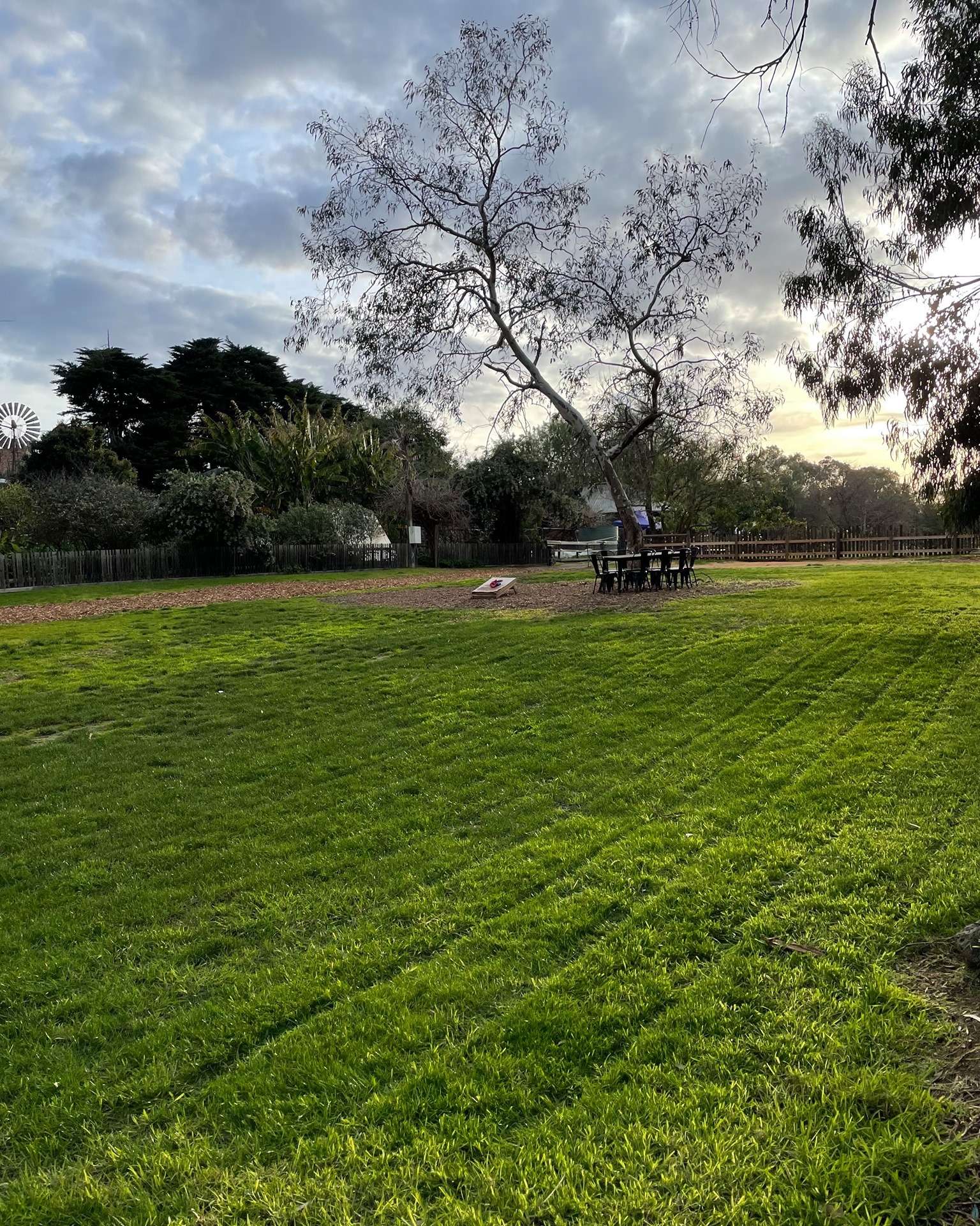 Collingwood Children’s Farm Market