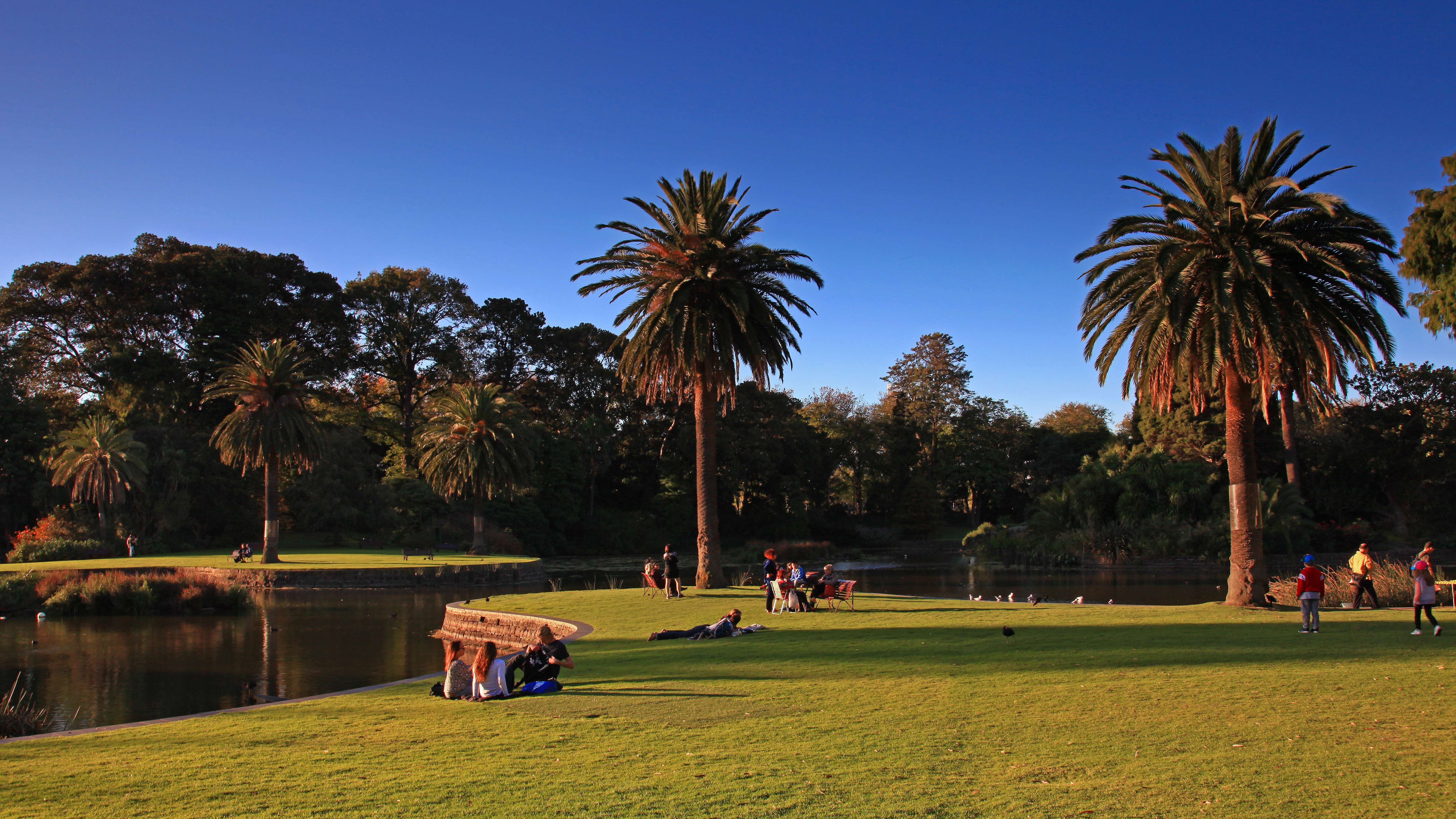 Picnic At The Royal Botanic Gardens