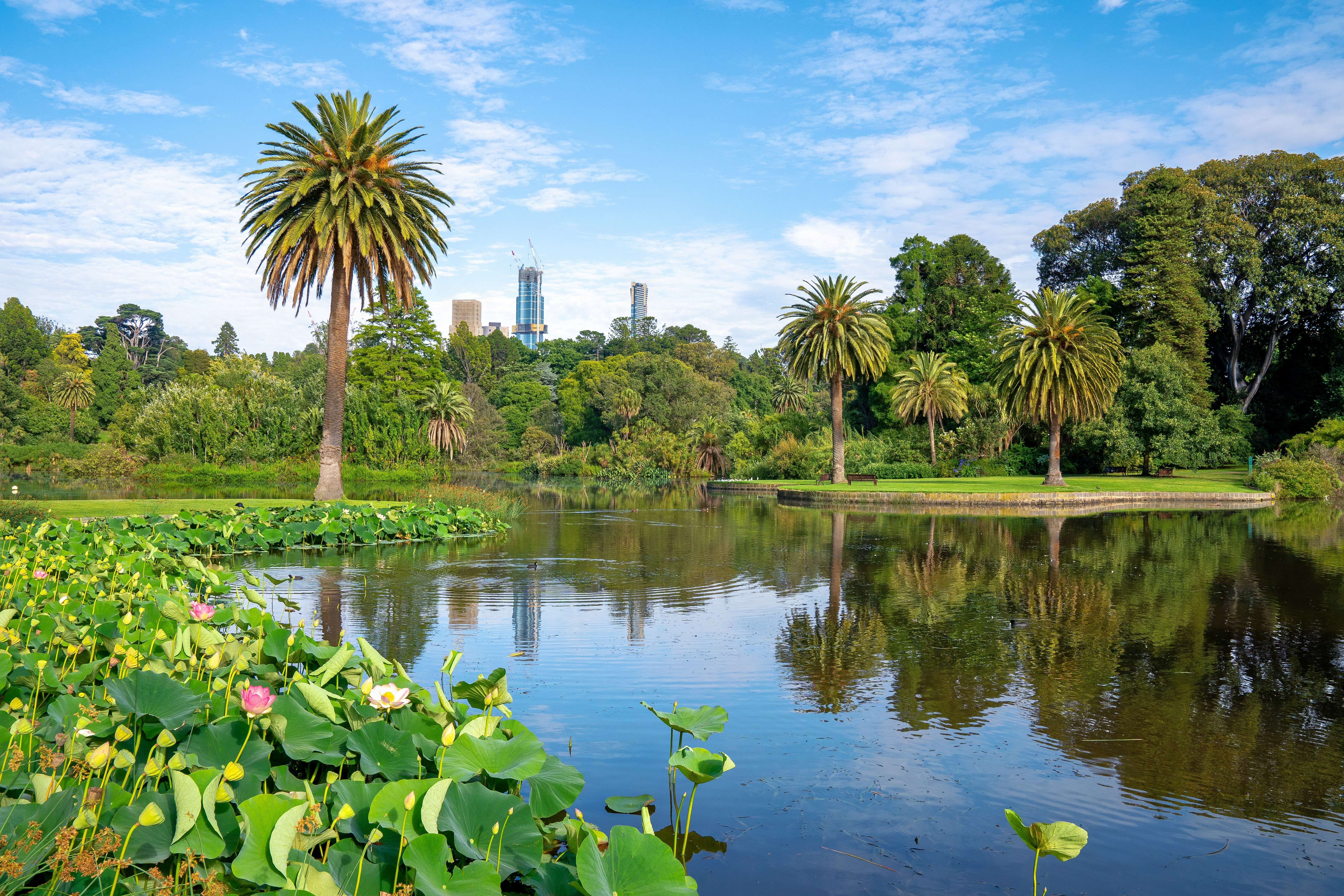 Visit The Royal Botanic Gardens
