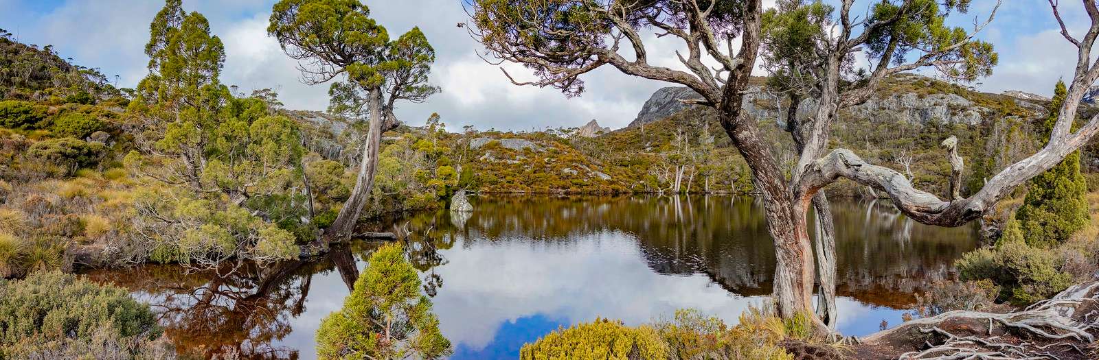 Cradle Mountain