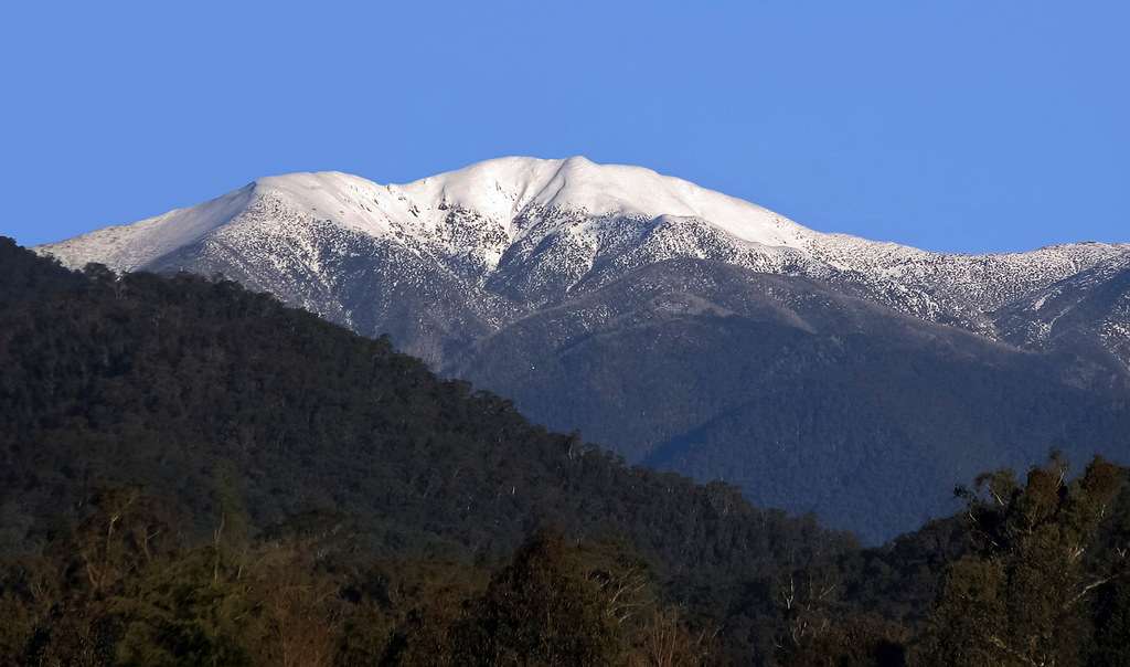 Mount Bogong