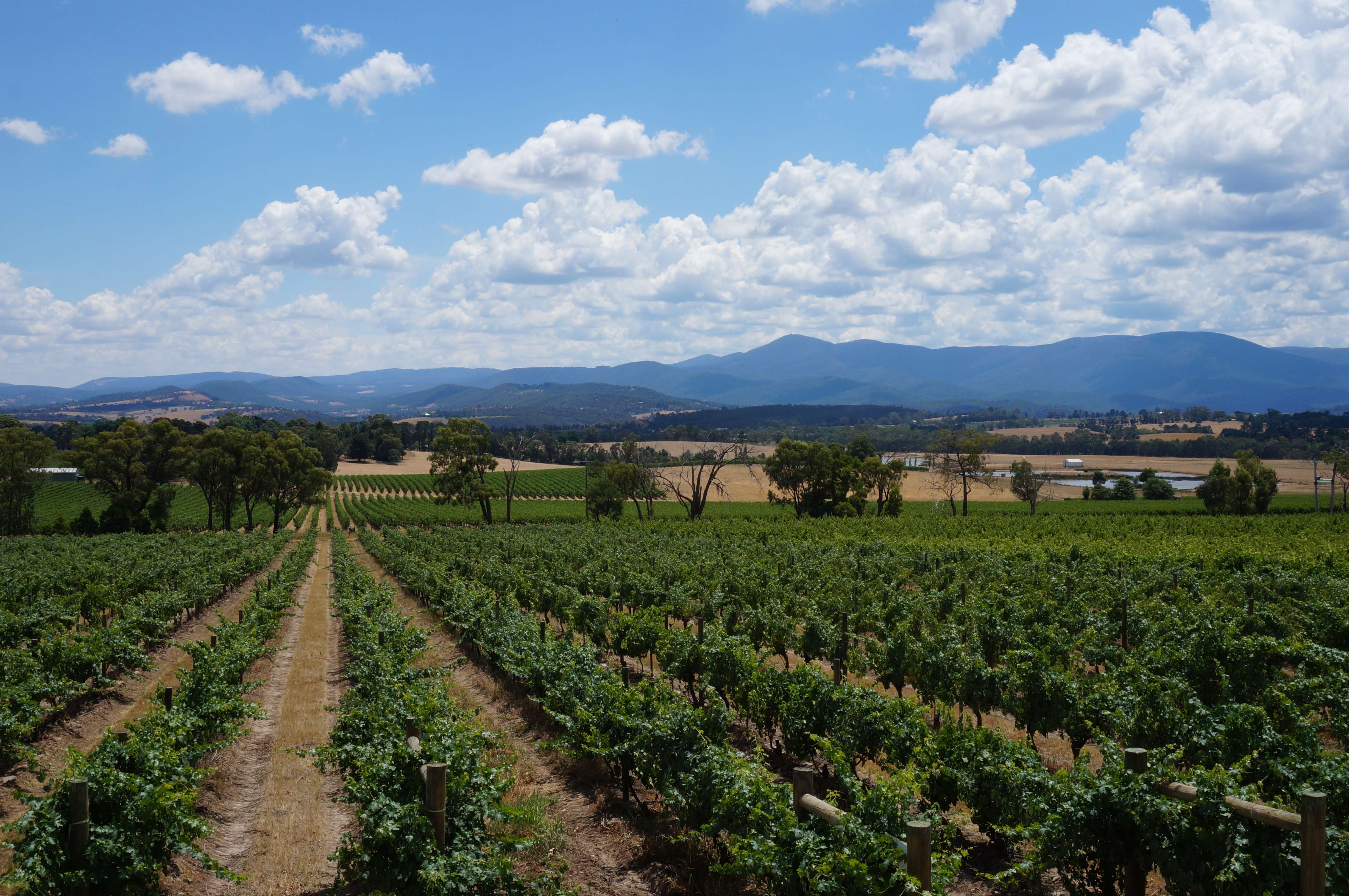 Yarra Valley