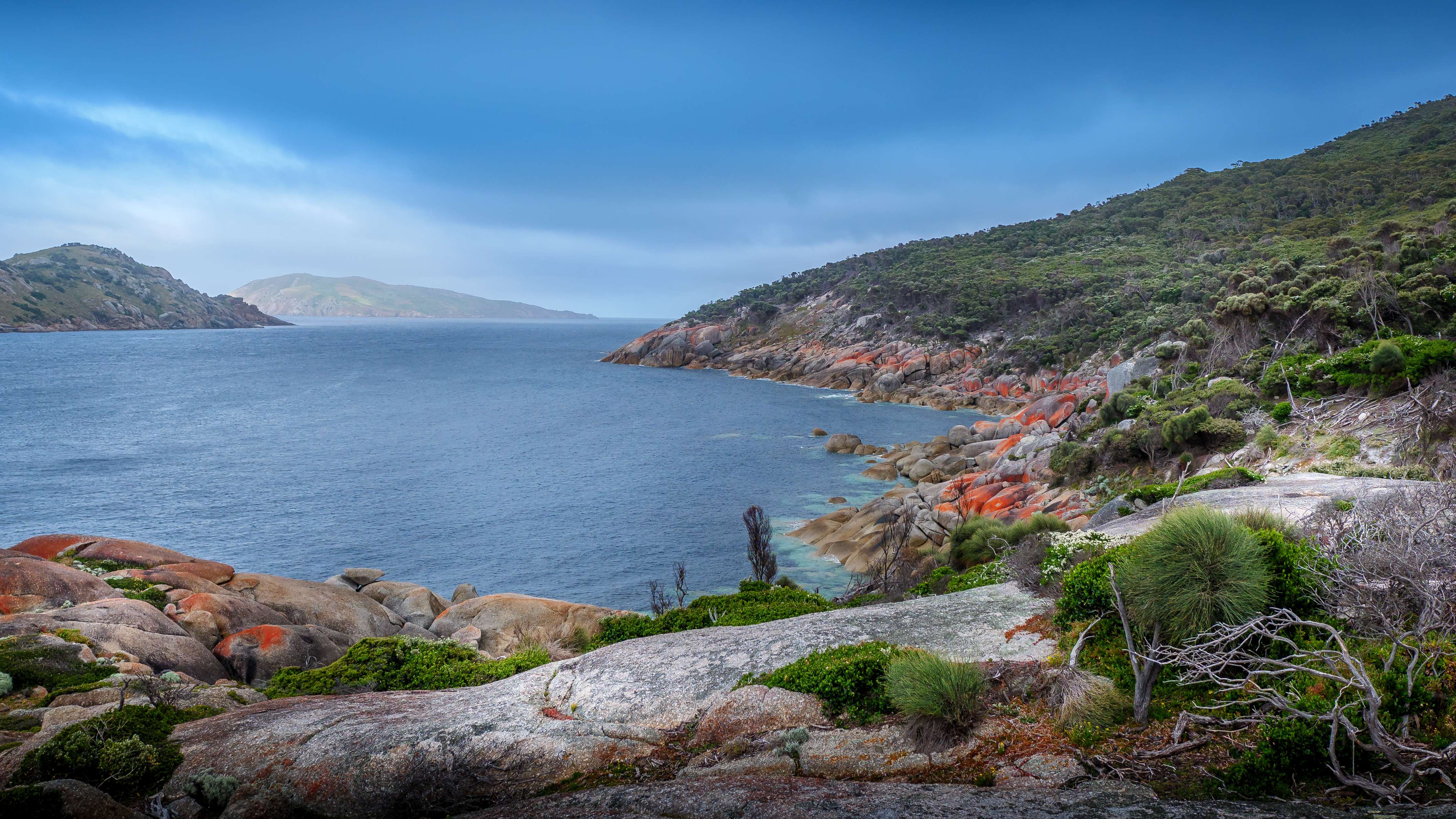 Witness Wildlife at Wilsons Promontory National Park