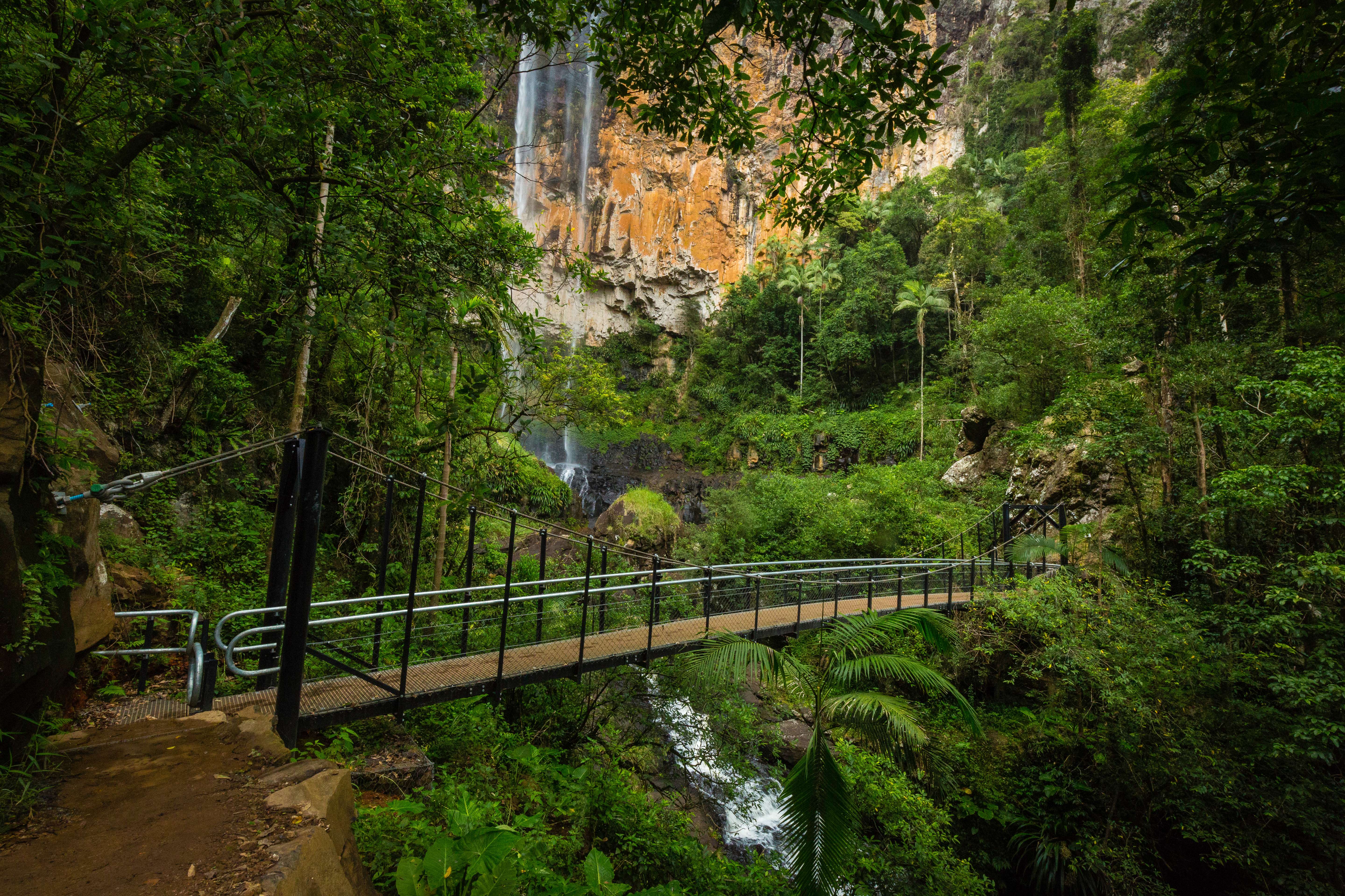 Take a Day Trip to Springbrook National Park