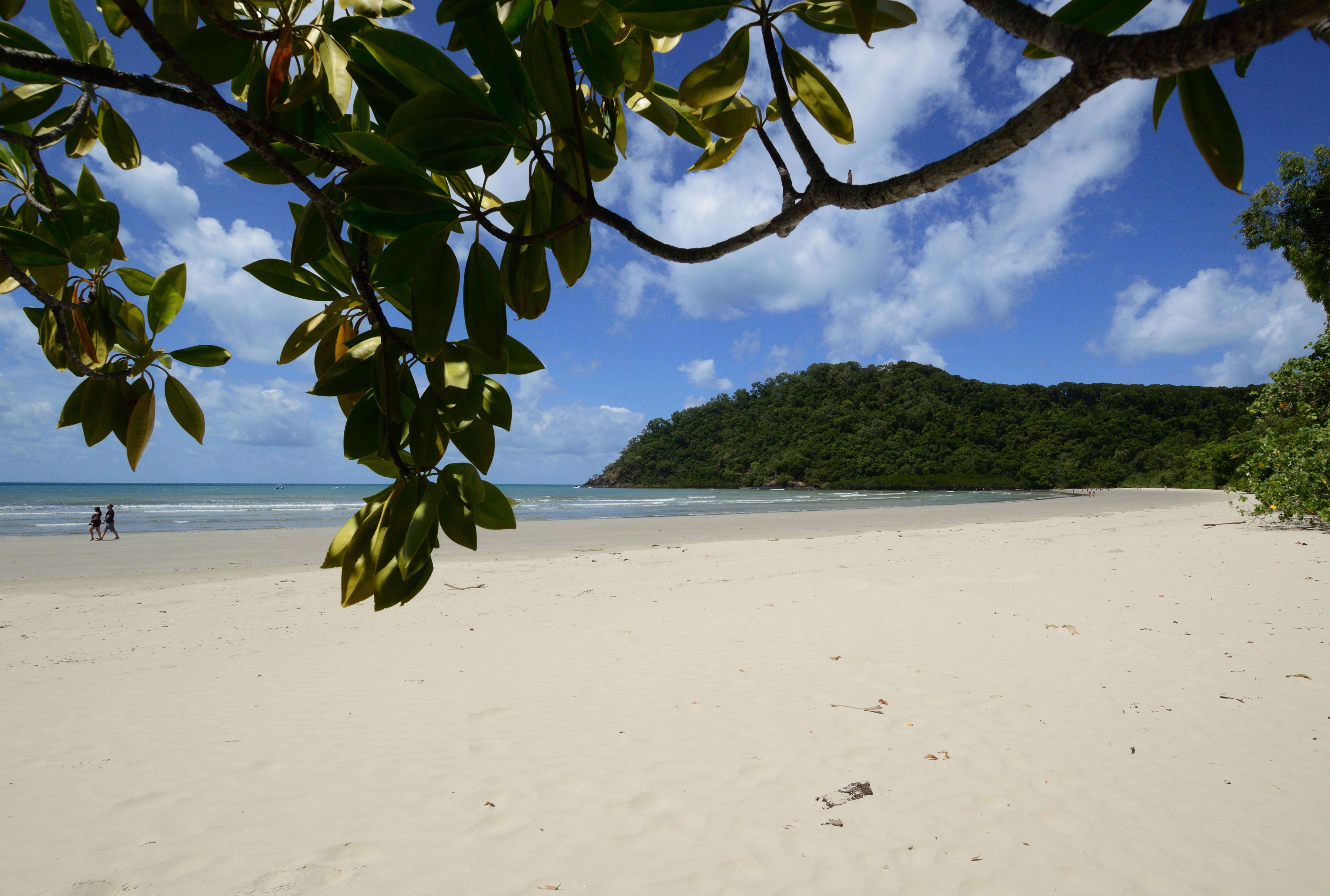 Daintree National Park