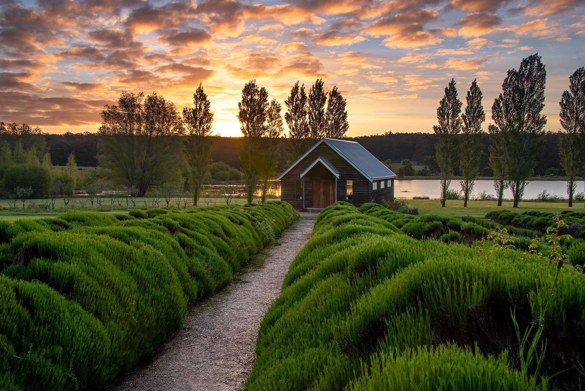 Witness Scenic Views from Daylesford