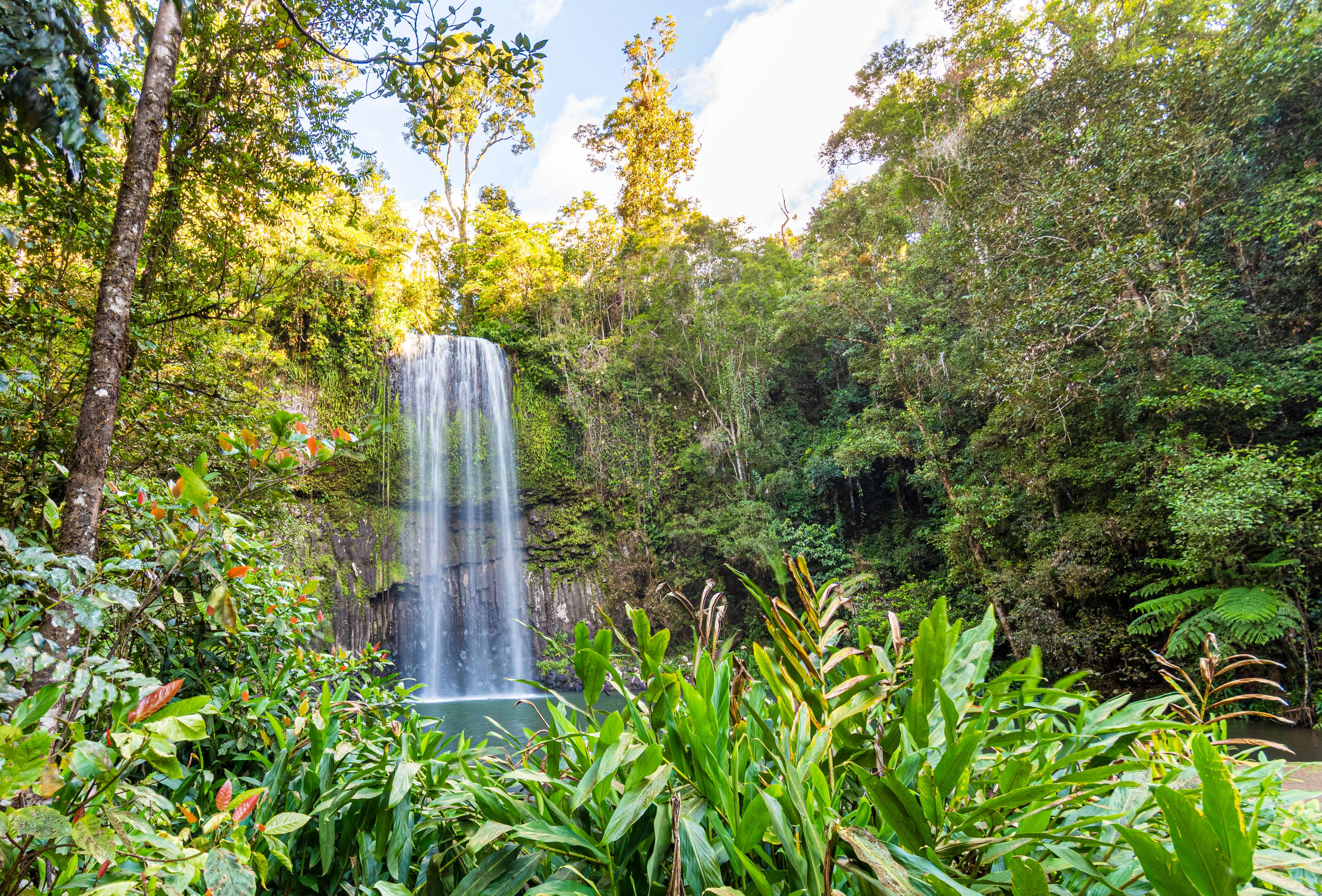Millaa Millaa Falls, Millaa Millaa