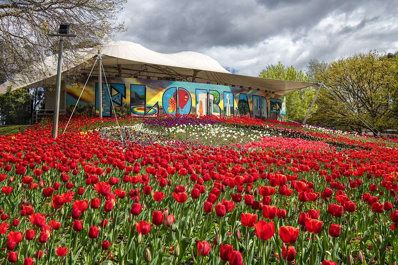 Attend the Floriade Festival in Canberra